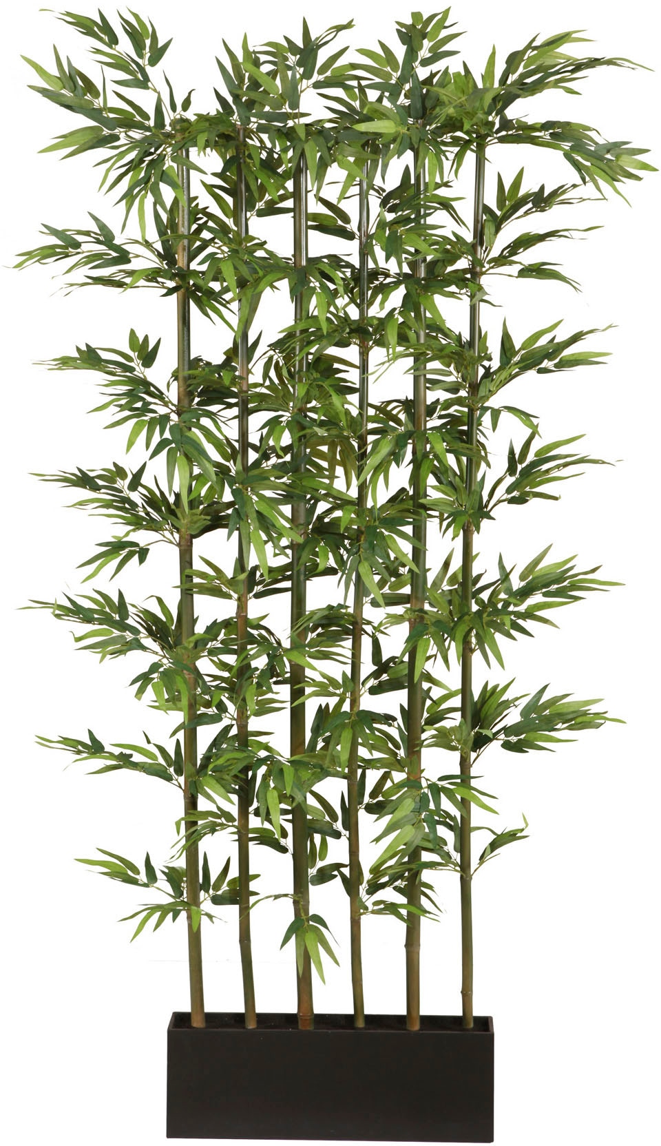 Creativ green Kunstpflanze 3 XXL online mit Jahren Garantie »Bambus« kaufen 