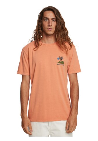 Quiksilver T-Shirt »New Tribe« kaufen