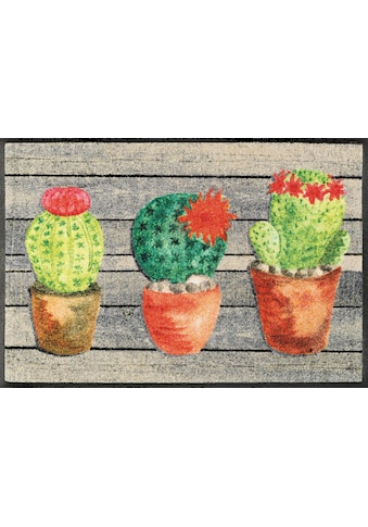 wash+dry by Kleen-Tex Fußmatte »Jardin de Cactus«, rechteckig, 7 mm Höhe,... kaufen