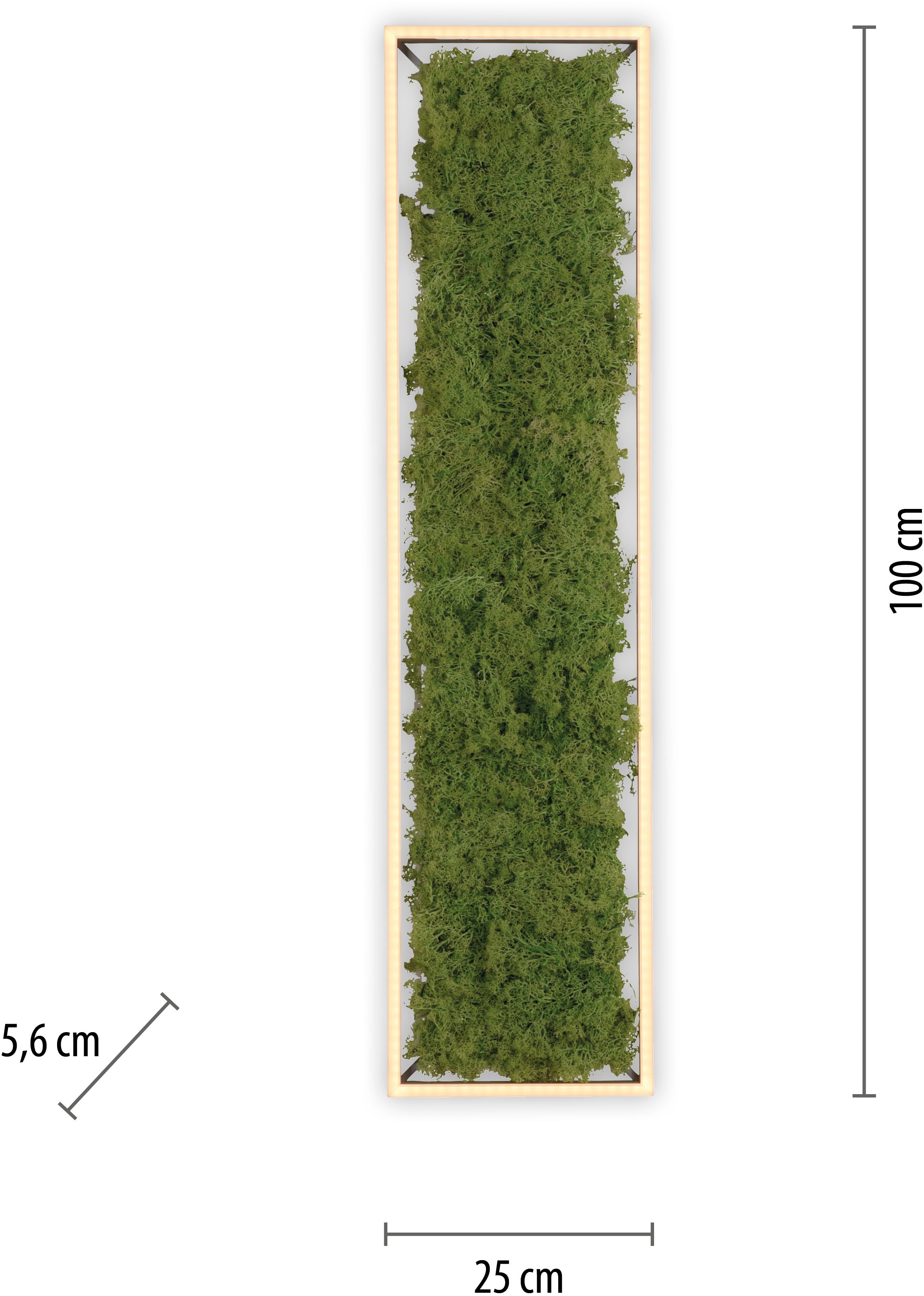 JUST LIGHT Deckenleuchte »GREEN KNUT«, 1 flammig, Leuchtmittel LED-Board | LED fest integriert