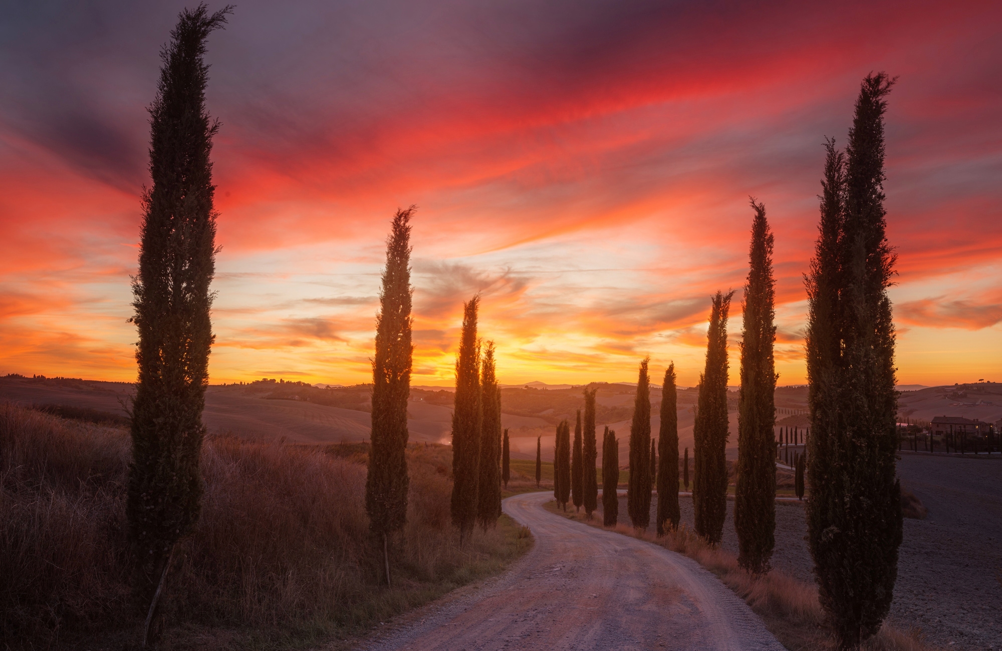 Papermoon, Fototapete »Photo-Art ROSTOVSKIY ANTON, TOSKANA-SONNENUNTERGANG«, bunt, Vlies, B/L: 3,5 m x 2,6 m - Bahnen: 7 Stk., bunt