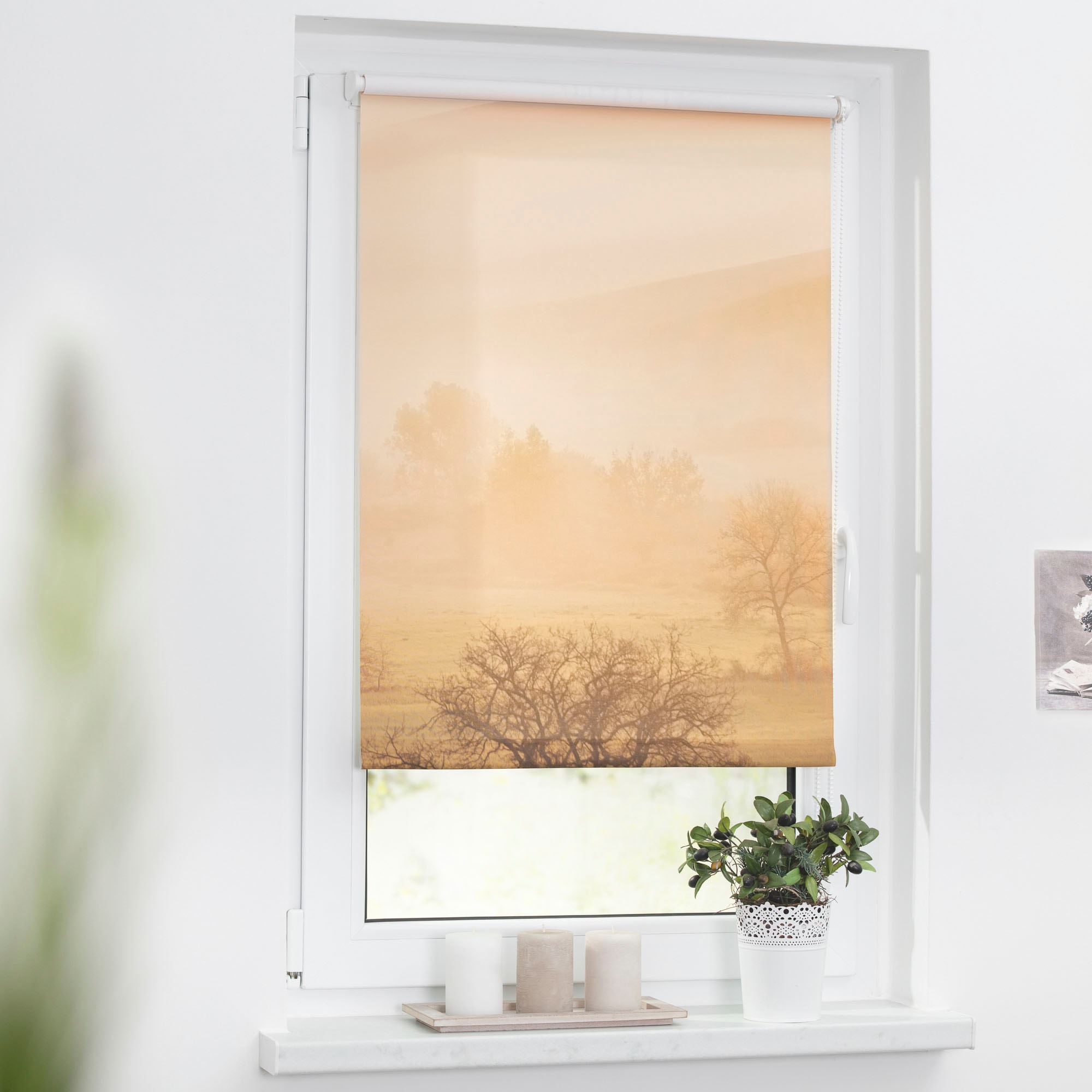 LICHTBLICK ORIGINAL Seitenzugrollo »Rollo Klemmfix, ohne Bohren, Verdunkelung, Toskana - Orange Braun« verdunkelnd Verdunkelung | energiesparend freihängend