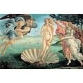 DELAVITA Kunstdruck »BOTTICELLI / Die Geburt der Venus«, (1 St.)