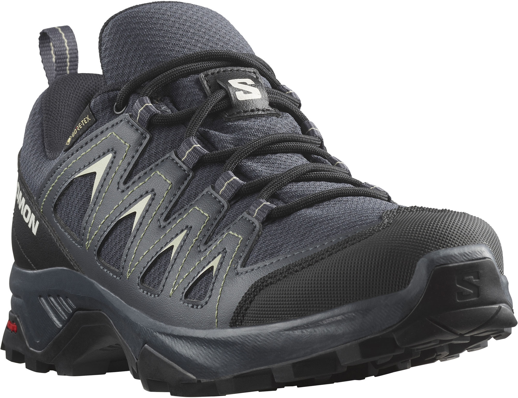 Salomon Wanderschuh »X BRAZE GORE-TEX®«, wasserdicht