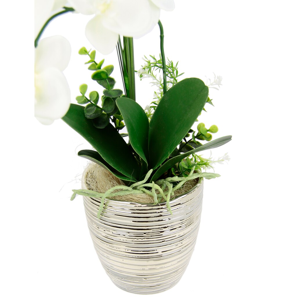 I.GE.A. Kunstblume »Arrangement Orchidee/Gras«, Topf aus Keramik