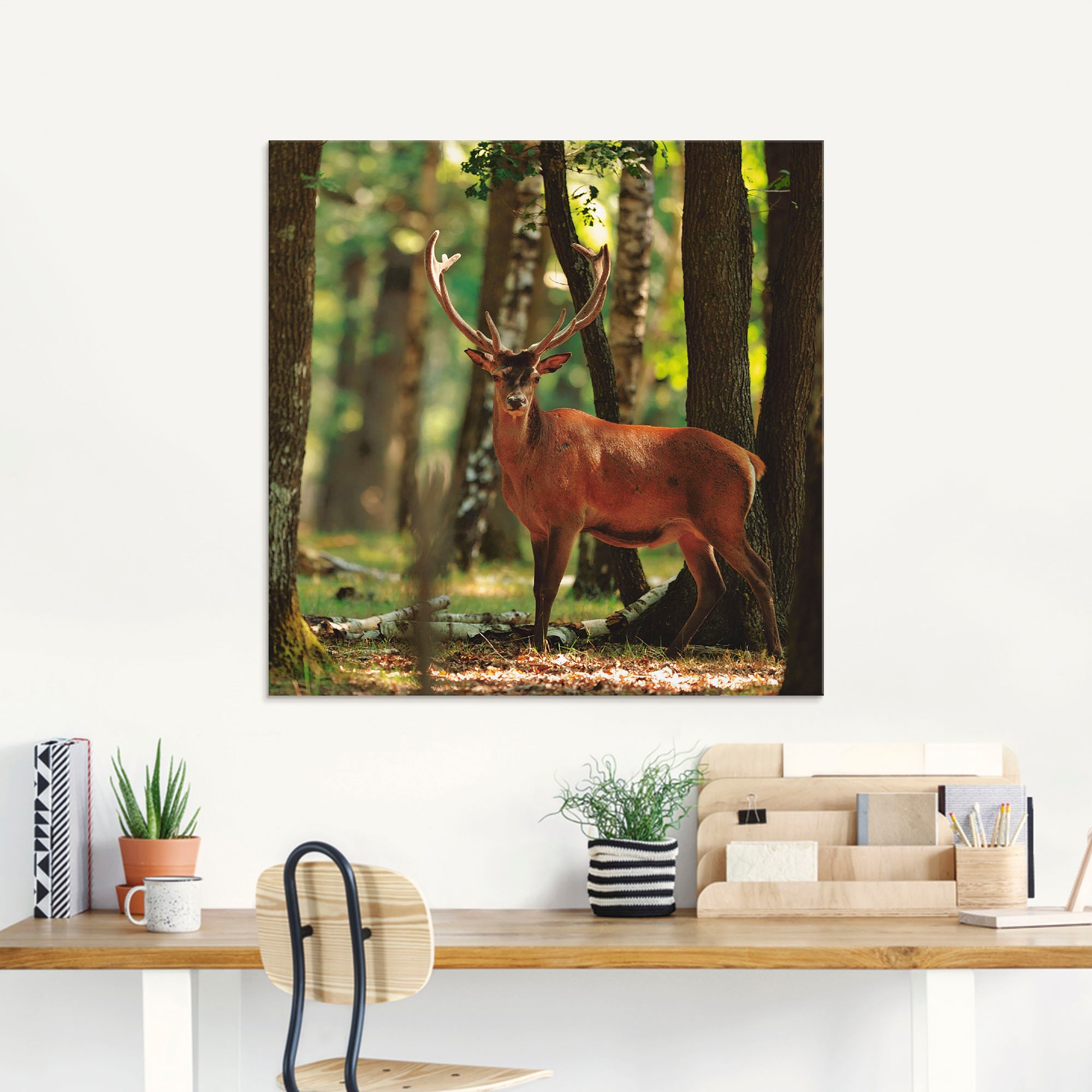 Artland Glasbild »Hirsch 4 - Wildtiere, bestellen verschiedenen in (1 St.), Wald«, Größen bequem