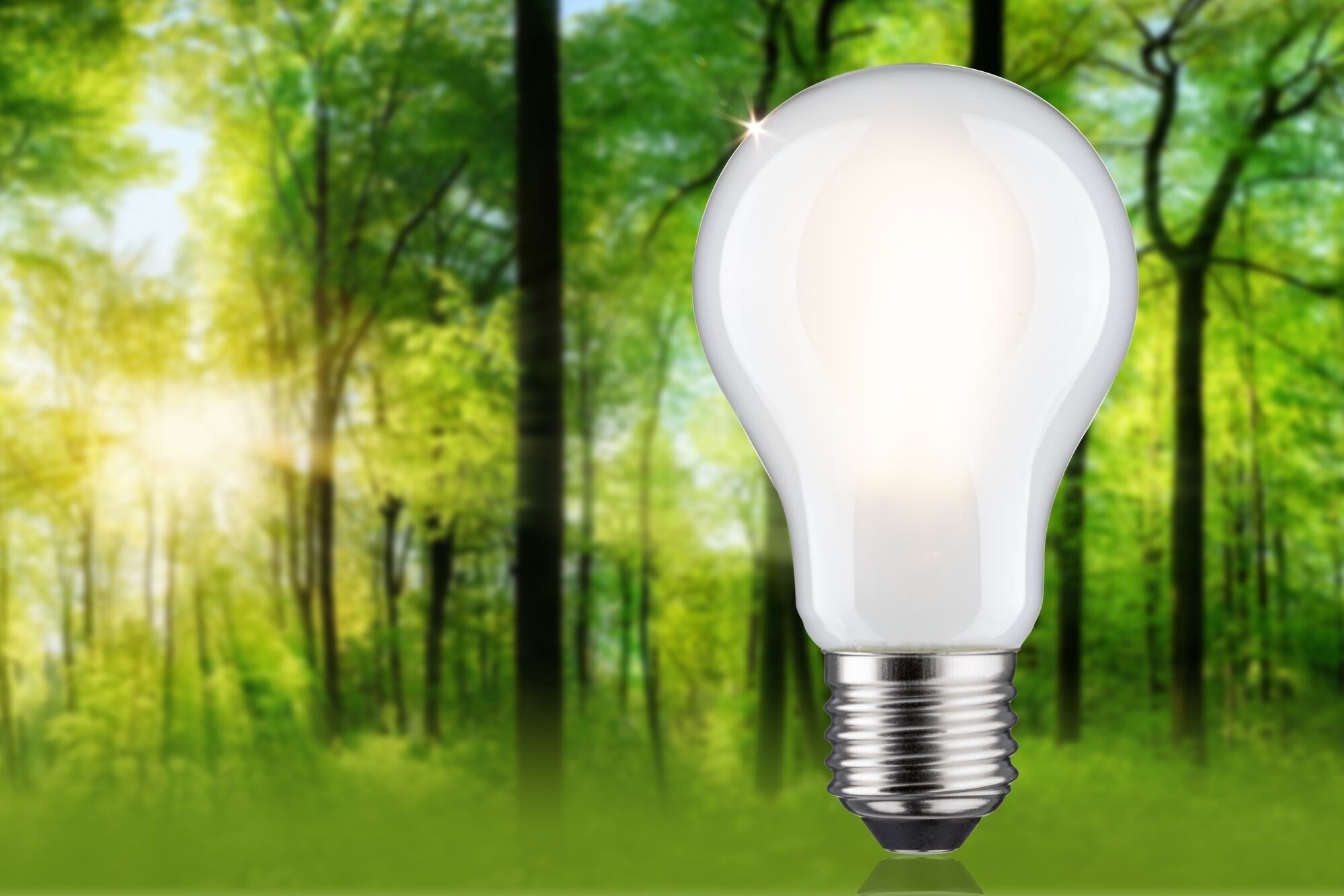 Paulmann LED-Leuchtmittel »Efficient-Line Filament 230V LEDBirne E27 1055lm 5,7W 3000K dimmb.Matt« E27 1 Stk. Warmweiß