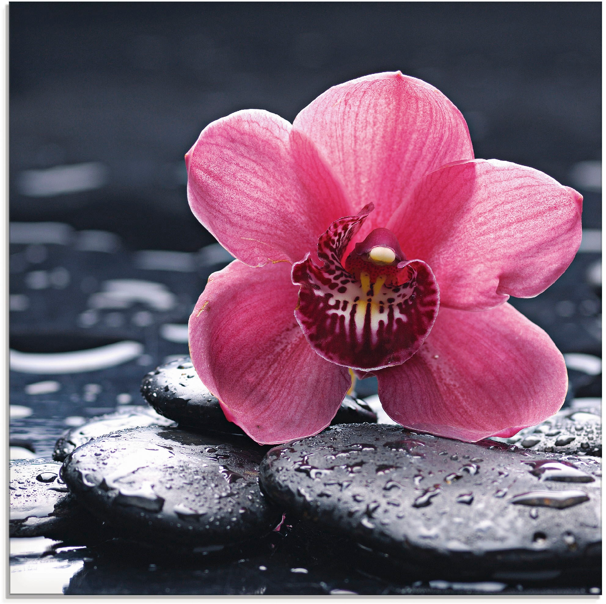 Artland Glasbild »Stillleben mit Kiesel verschiedenen einer auf Rechnung Orchidee«, St.), (1 bestellen Blumen, Größen in und