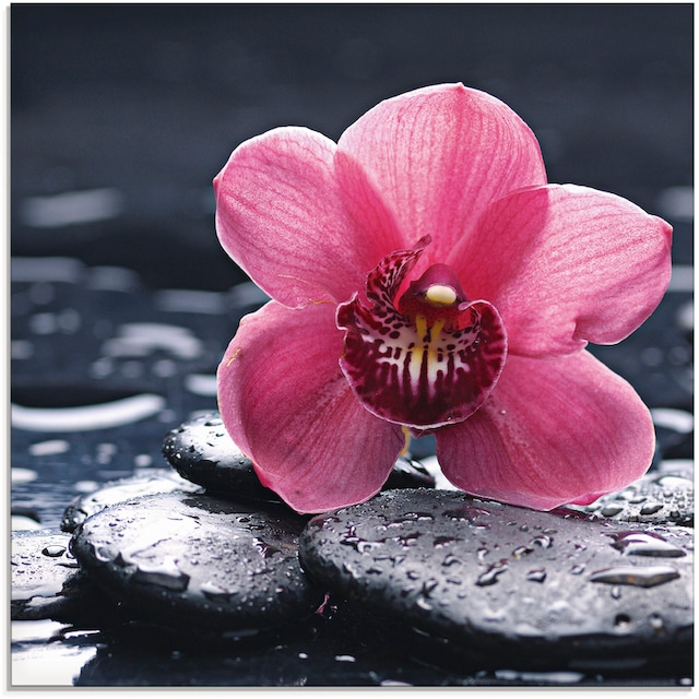 Artland Glasbild »Stillleben mit Kiesel und einer Orchidee«, Blumen, (1 St.),  in verschiedenen Größen auf Rechnung bestellen