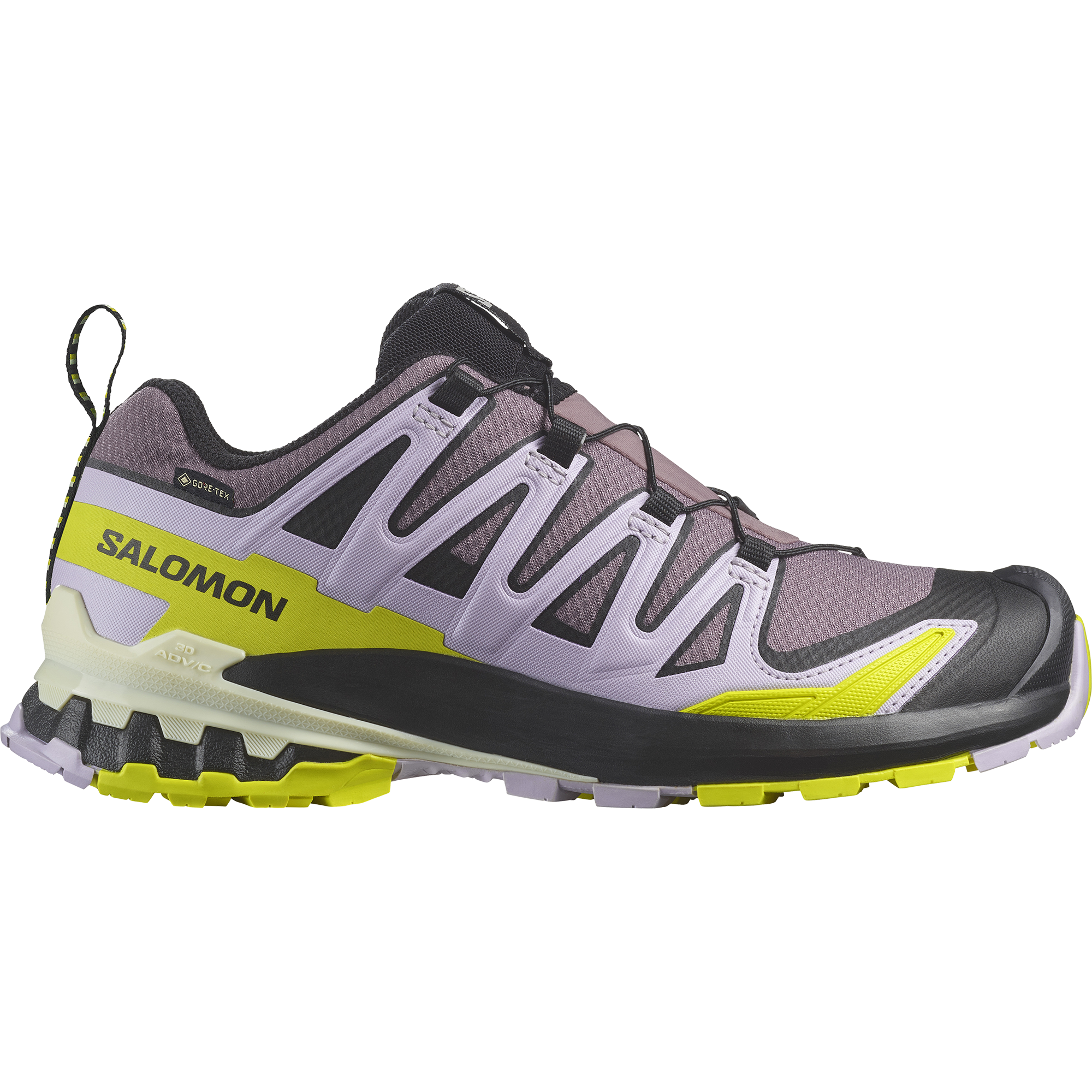 Salomon Trailrunningschuh »XA PRO 3D V9 GORE-TEX«, wasserdicht