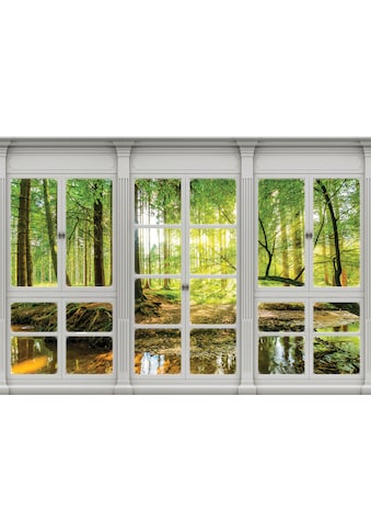 Consalnet Vliestapete »Sonnenwald Fensterblick«, verschiedene Motivgrößen, für das... kaufen