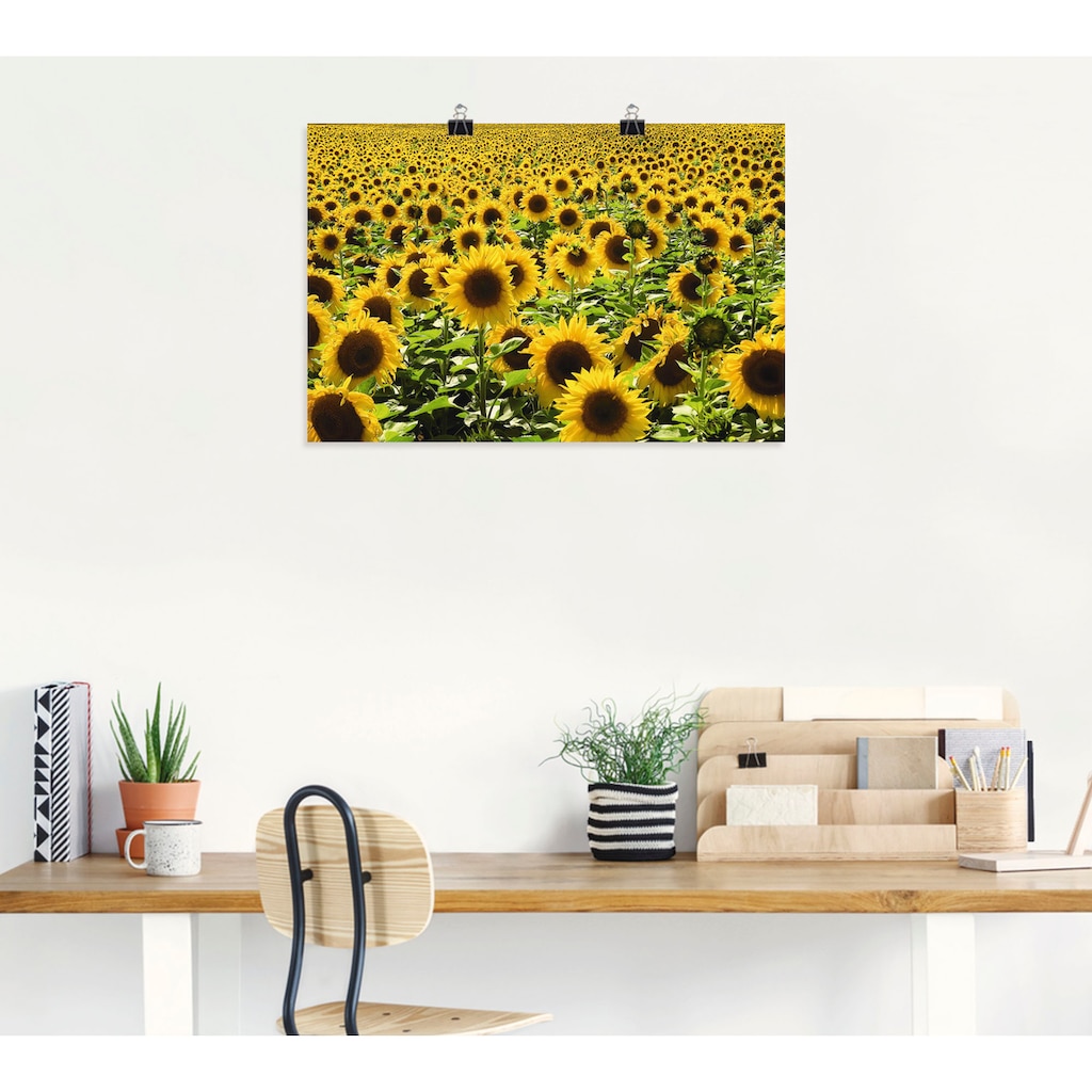 Artland Wandbild »Sonnenblumenfeld«, Blumen, (1 St.)