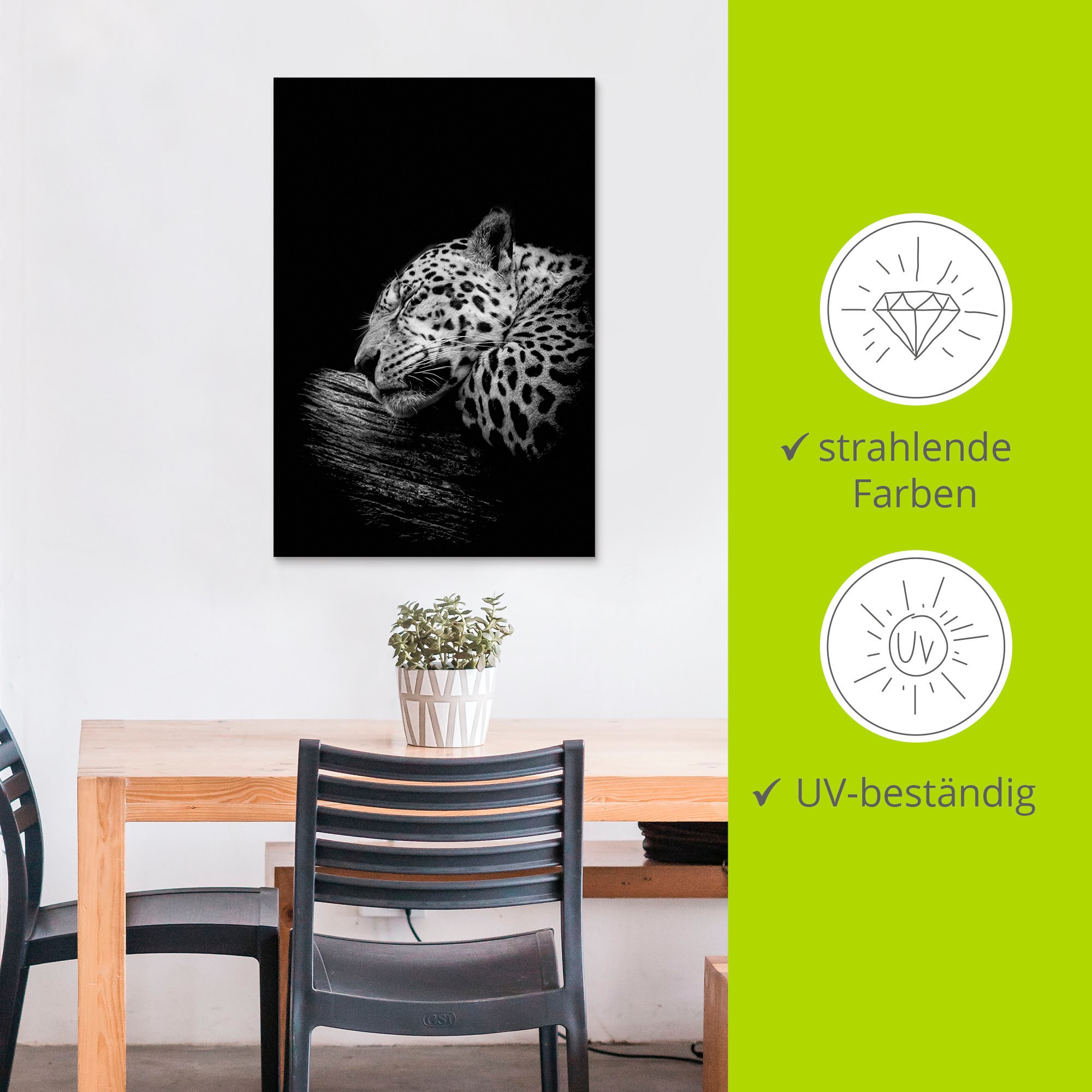 Artland Wandbild »Der schlafende Jaguar« Wildtiere 1 Stk. tlg. als Alubild, Outdoorbild, Leinwandbild, Poster in verschied. Größen