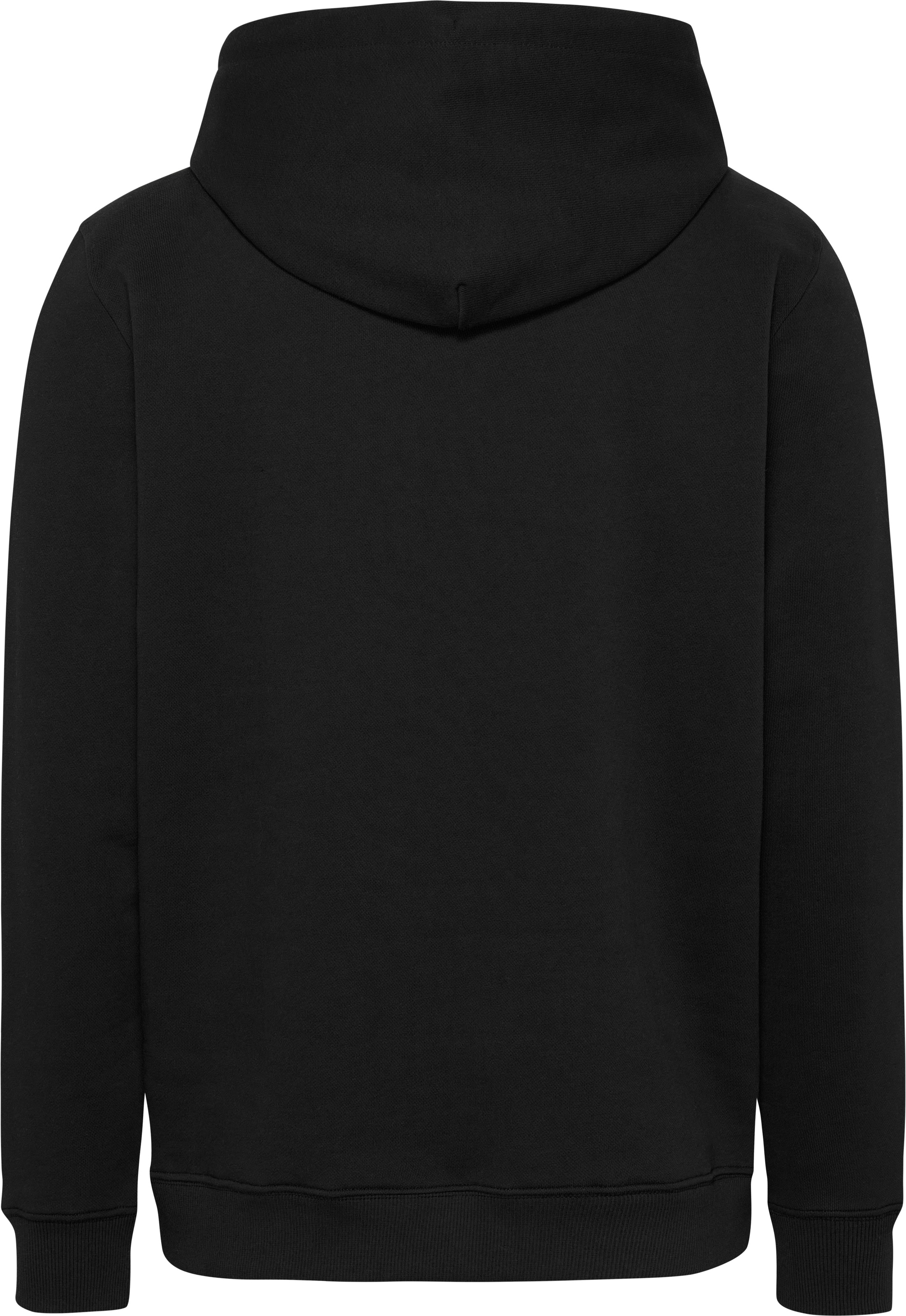 Tommy Jeans Hoodie »TJM REG DNA FLAG TWIST HOOD EXT«, mit großem Logo