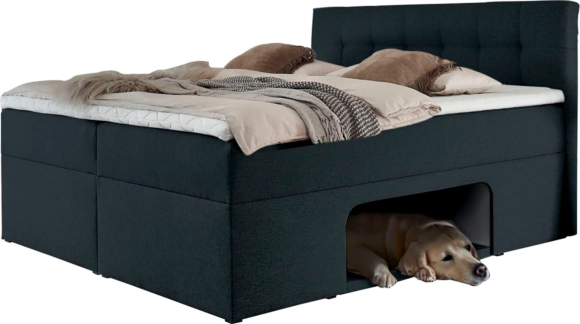 PLACES OF STYLE Boxbett »Carolin« mit Nische inkl. gepolsterter Unterlage für Haustiere