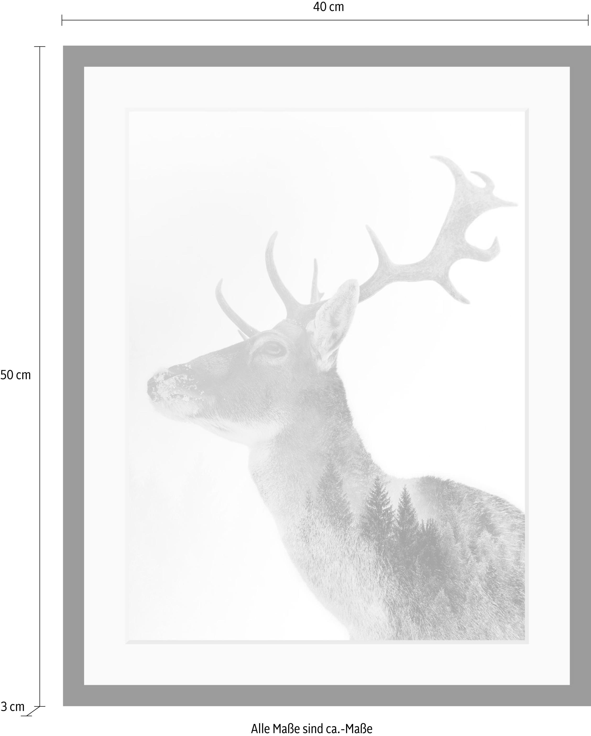 queence Bild »Hirsch« Hirsch | Hirschbilder | Schwarz-Weiß | Tiere | Wald | Waldbilder | Wildtiere HD Premium Poster-Druck inkl. Holzrahmen