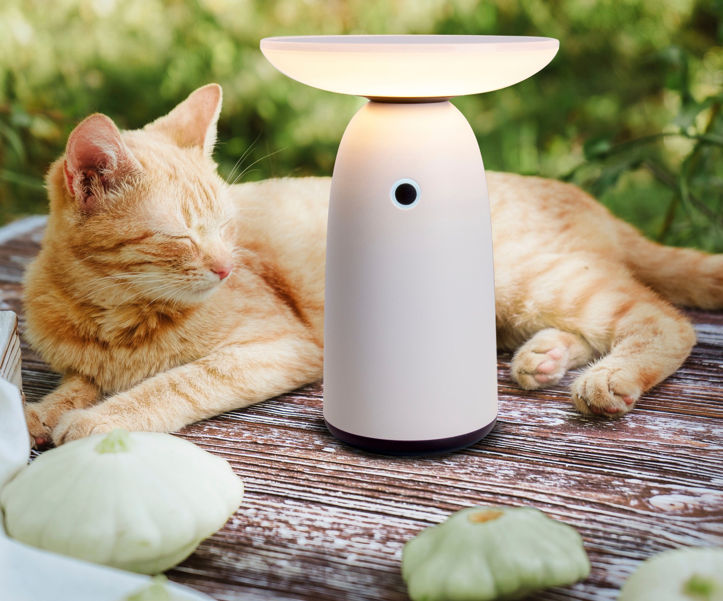 näve LED Solarleuchte »Ada«, 1 flammig, Leuchtmittel LED-Modul | LED fest integriert, Stufenweise dimmbar, inkl. USB-C-Kabel (+ Batterien=