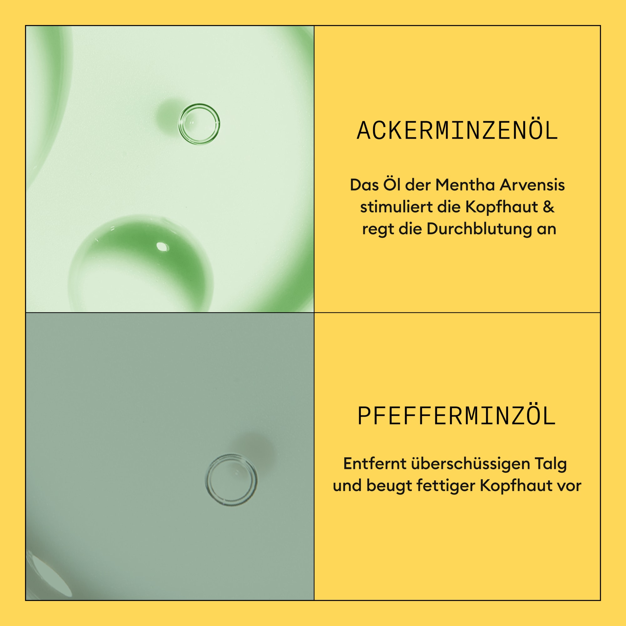 Nioxin Kopfhaut-Pflegekur »System 1 Conditioner« mehr Volumen, schützt vor Haarbruch, voller wirkendes Haar