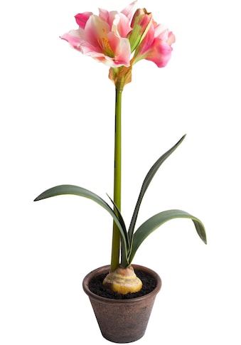 Kunstblume »Amaryllis im braunen Kunststofftopf«