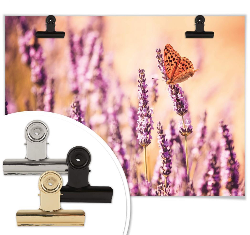 Wall-Art Poster »Schmetterling Lavendel«, Schmetterlinge, Wandbild, St.), auf Bild, (1 Raten Poster, bestellen Wandposter
