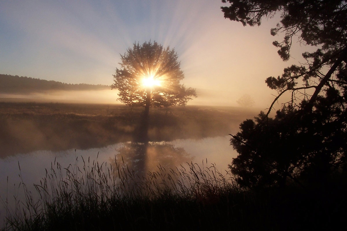 Papermoon, Fototapete »Fluss Sonnenaufgang«, bunt, Vlies, B/L: 5 m x 2,8 m - Bahnen: 10 Stk., bunt