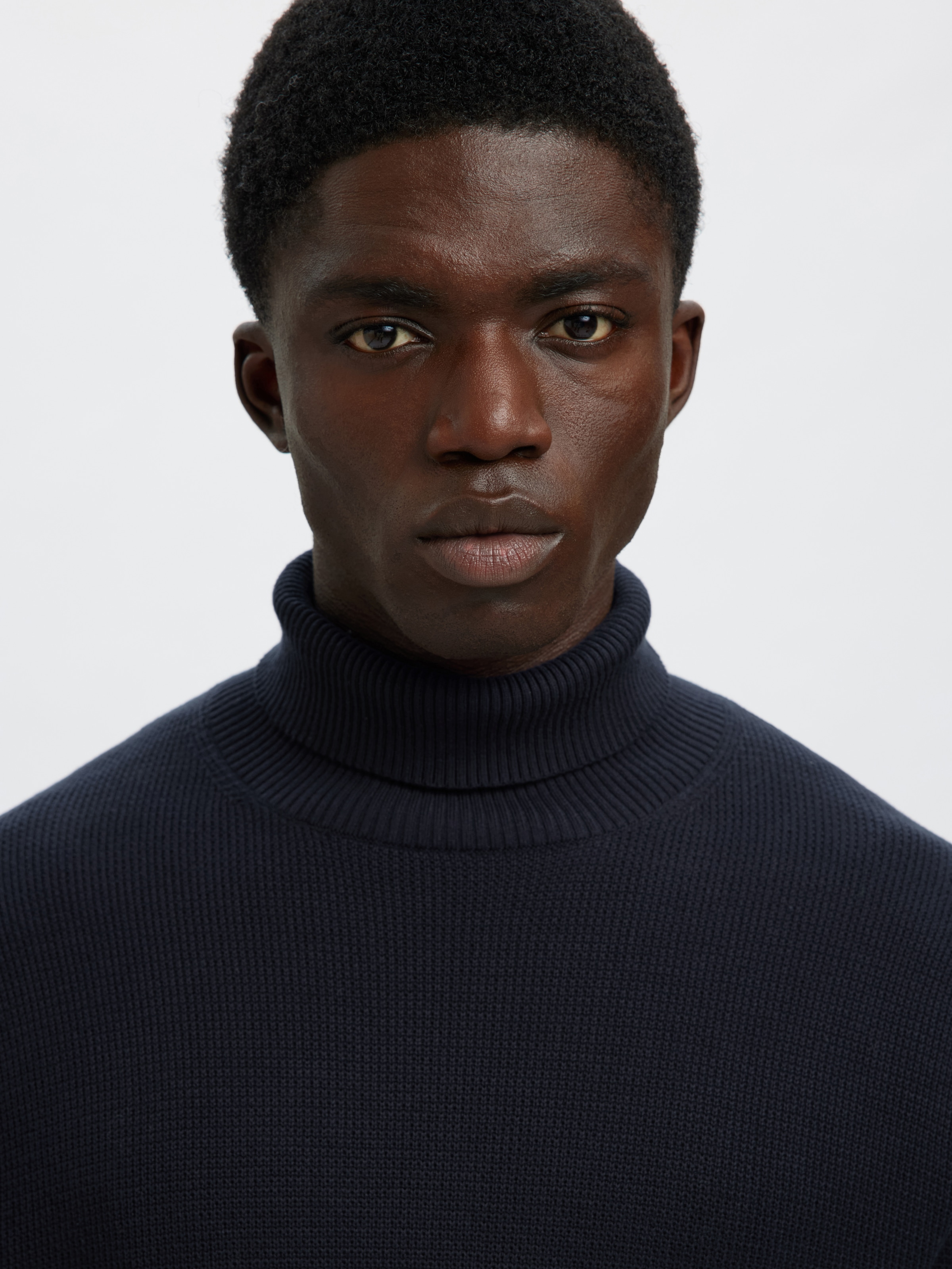 SELECTED HOMME Rollkragenpullover »SLHDANE LS KNIT STRUCTURE ROLL NECK NOOS«