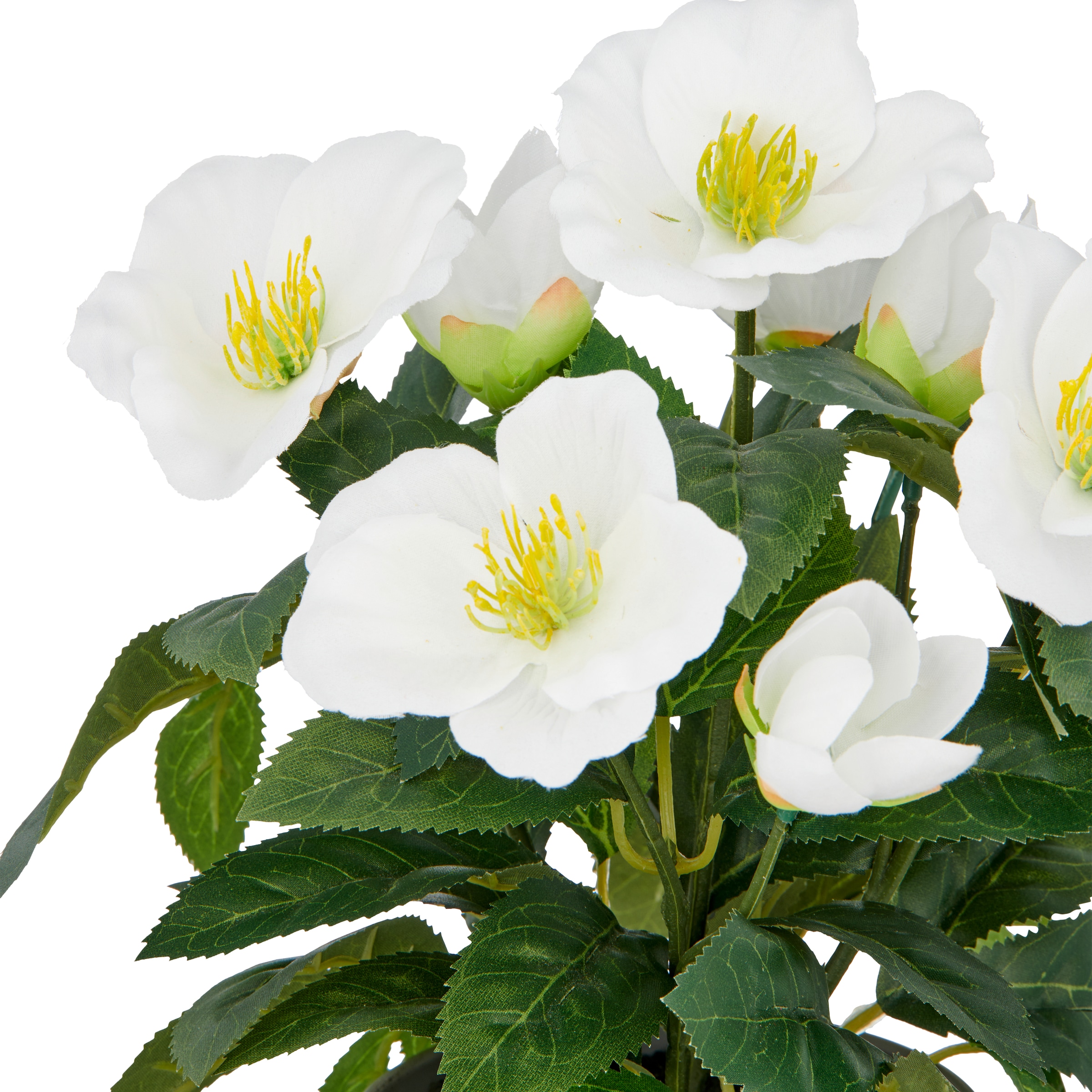 Creativ green Kunstblume »Christrose« mit üppiger Blütenpracht