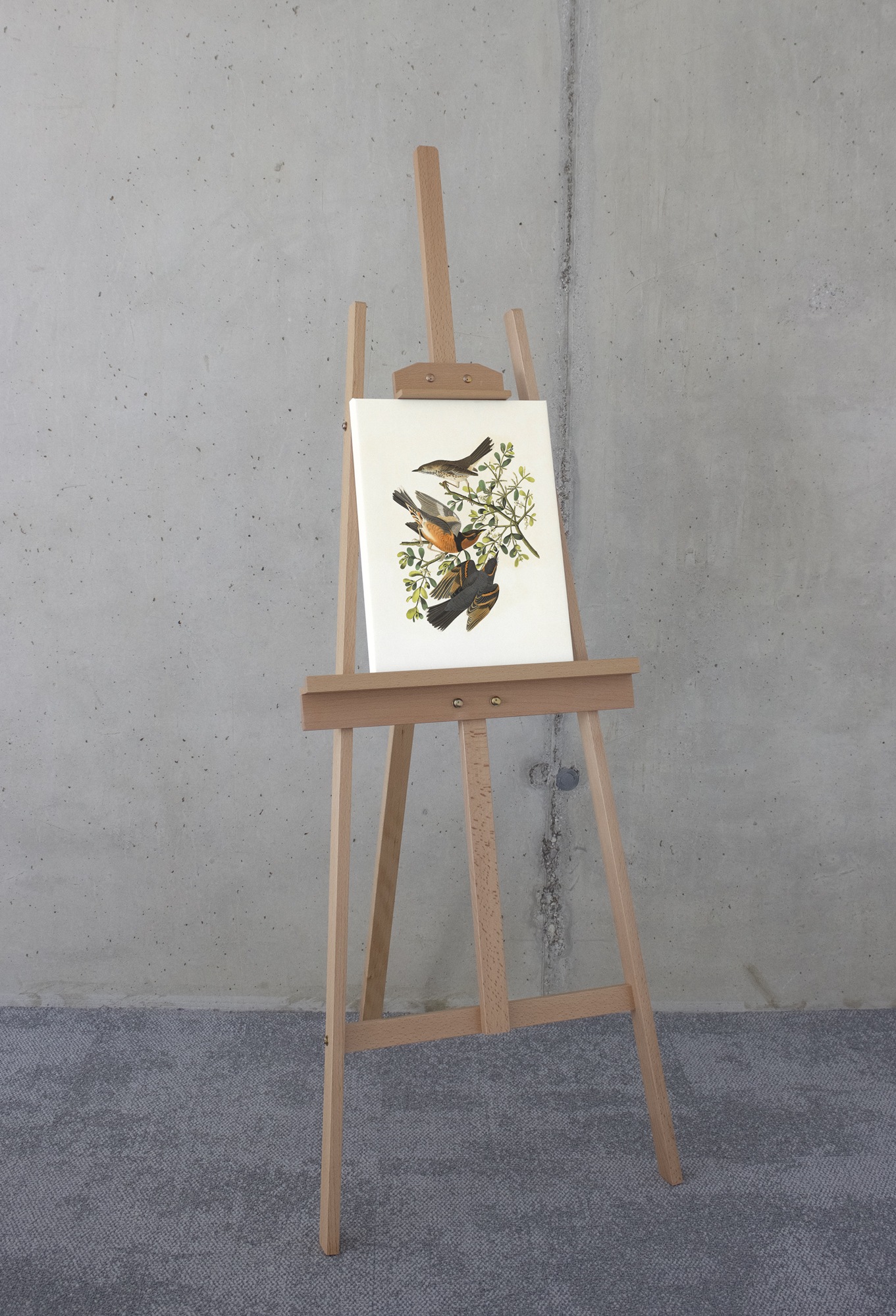 Komar Leinwandbild »Heidi - Größe 30 x 40 cm«, Natur, (1 St.), Keilrahmenbild mi Echtholzrahmen