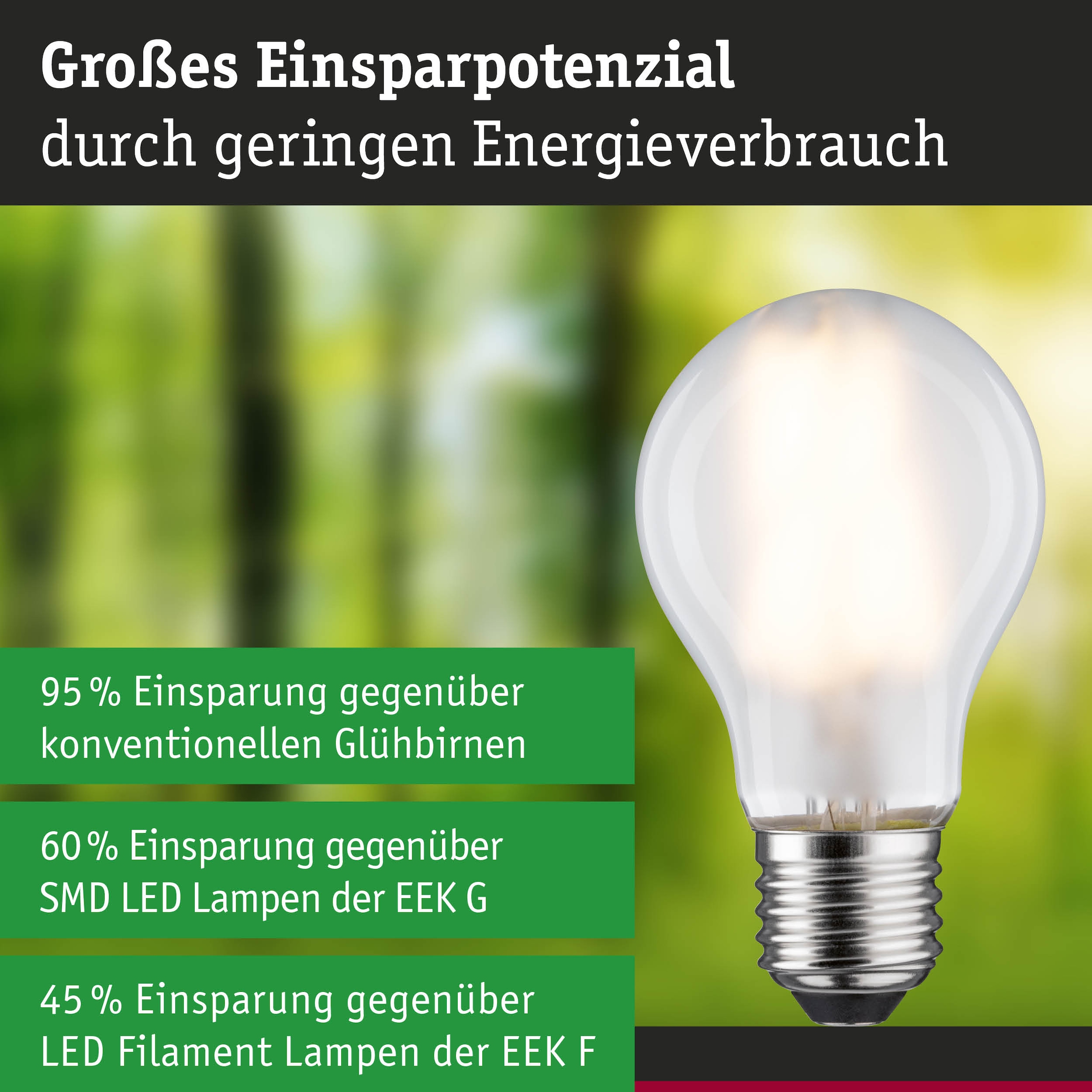 Paulmann LED-Leuchtmittel »Efficient-Line Filament 230V LED Birne E27 1 St. 1055lm 5W 3000K Matt« E27 1 Stk. Warmweiß
