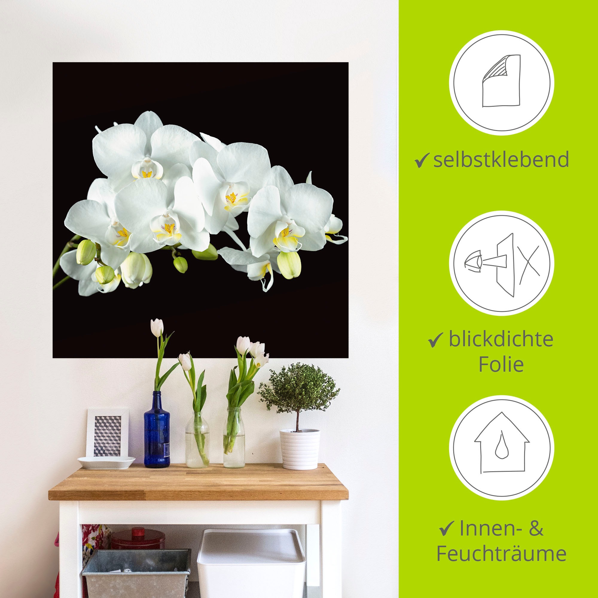 Artland Wandbild »Weiße Orchidee auf schwarzem Hintergrund«, Blumen, (1 St.), als Leinwandbild, Poster, Wandaufkleber in verschied. Größen