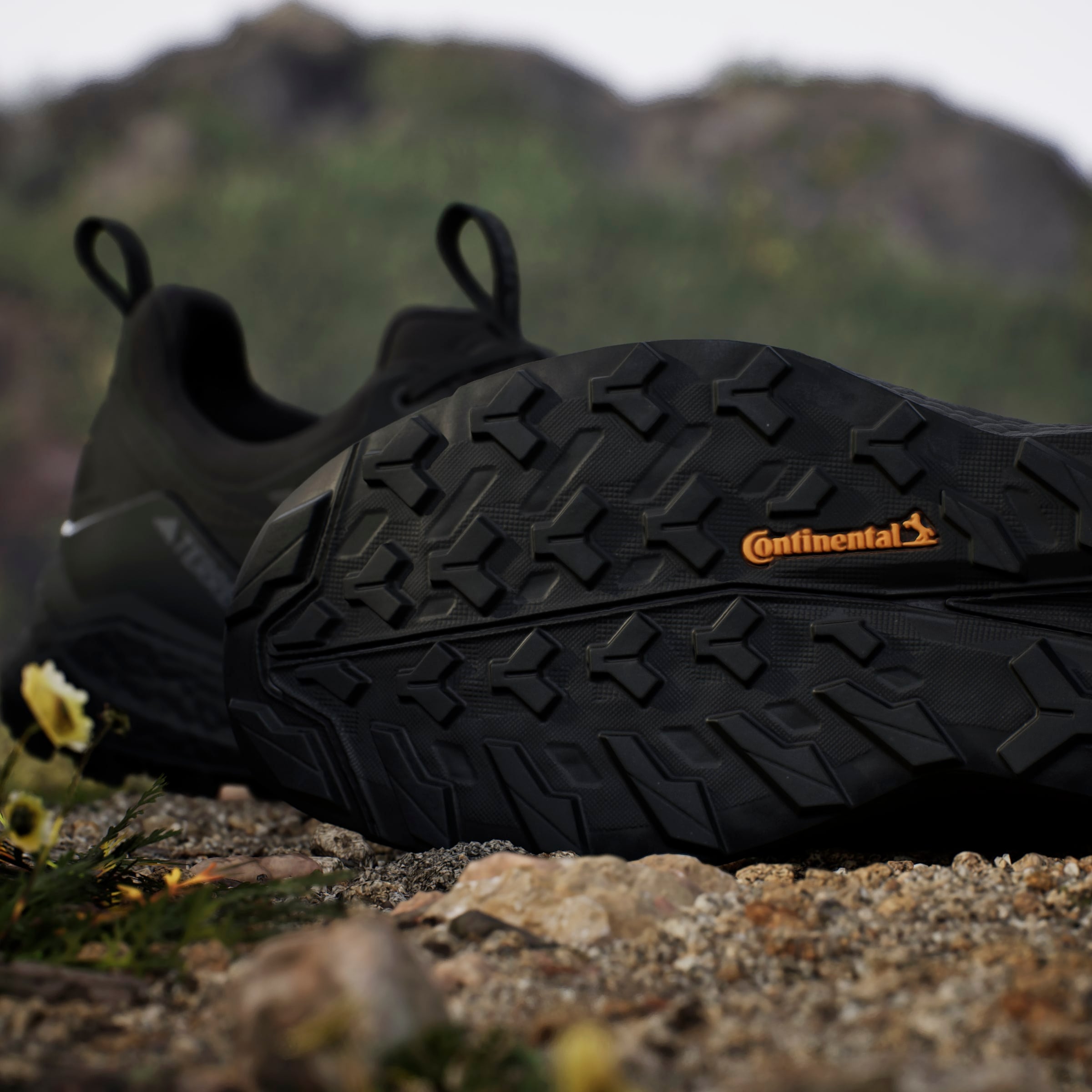 adidas TERREX Wanderschuh »TERREX FREE HIKER 2.0 LOW GORE-TEX«  wasserdicht dank Gore-Tex Membrane