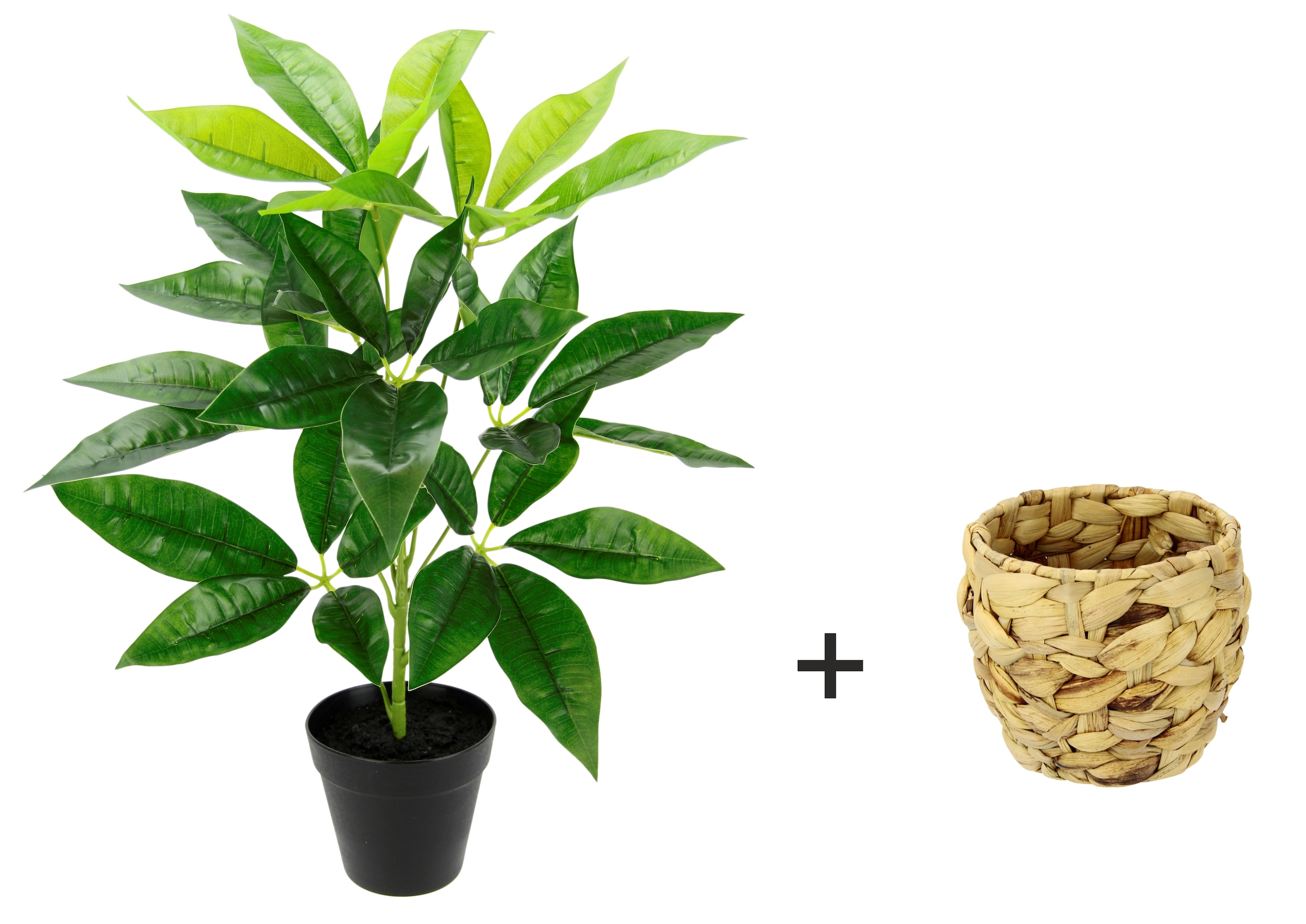 I.GE.A. Kunstpflanze »Schefflera«, Mit Übertopf Künstliche Seidenblumen