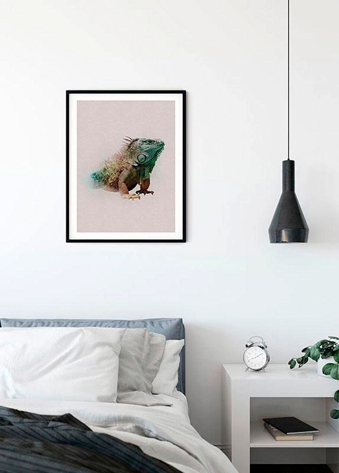 Komar Bild »Animals Paradise Iguana« Tiere 1 Stk. tlg. Wandbild zur Dekoration - ohne Rahmen