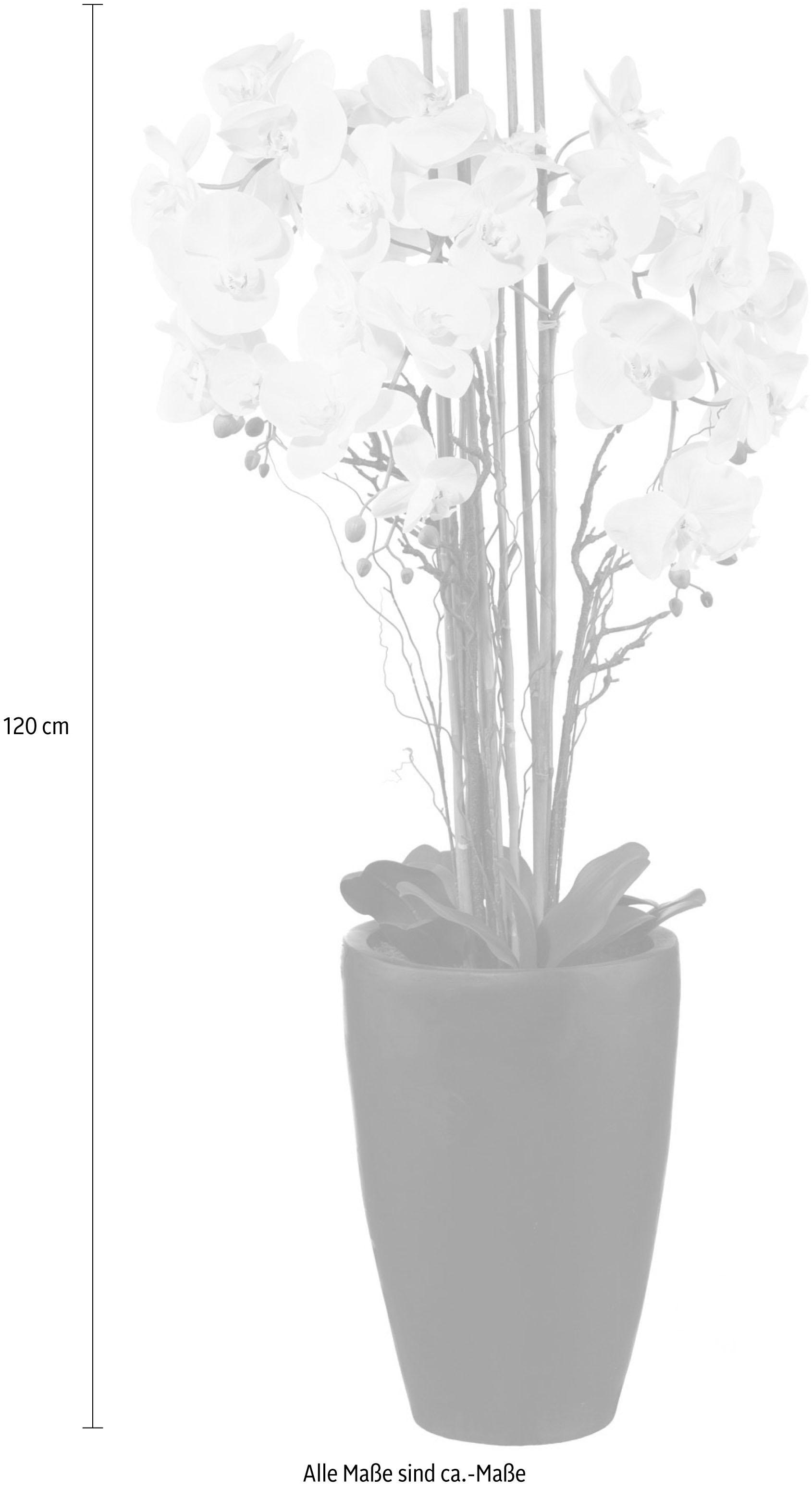 Kunstpflanze 3 | mit kaufen »Phalaenopsis« Garantie Jahren Creativ XXL green online