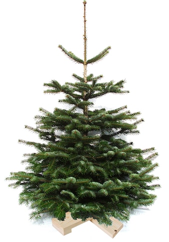 Weihnachtsbaumland Echter Weihnachtsbaum »Nordmanntanne auf Holzkreuz montiert«,... kaufen