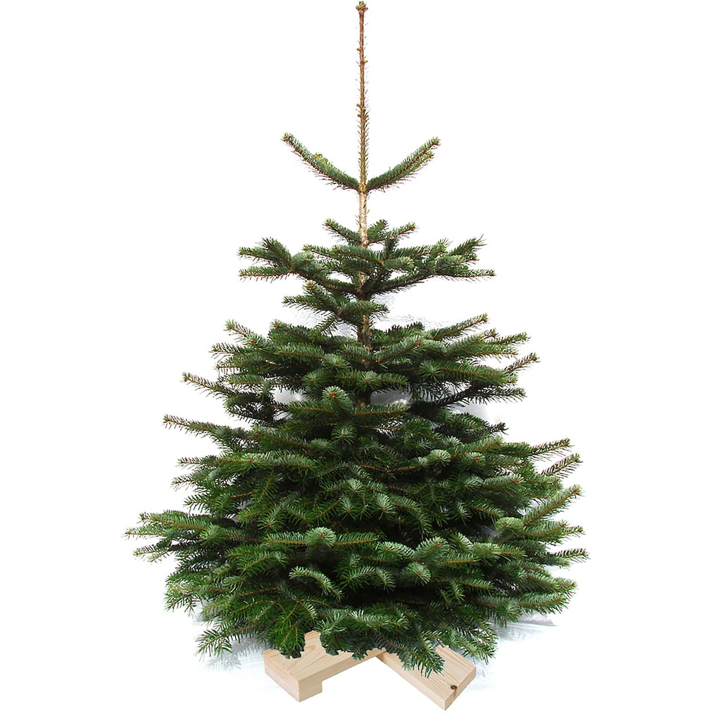Weihnachtsbaumland Echter Weihnachtsbaum »Nordmanntanne auf Holzkreuz montiert, Weihnachtsdeko«, Nordmanntanne