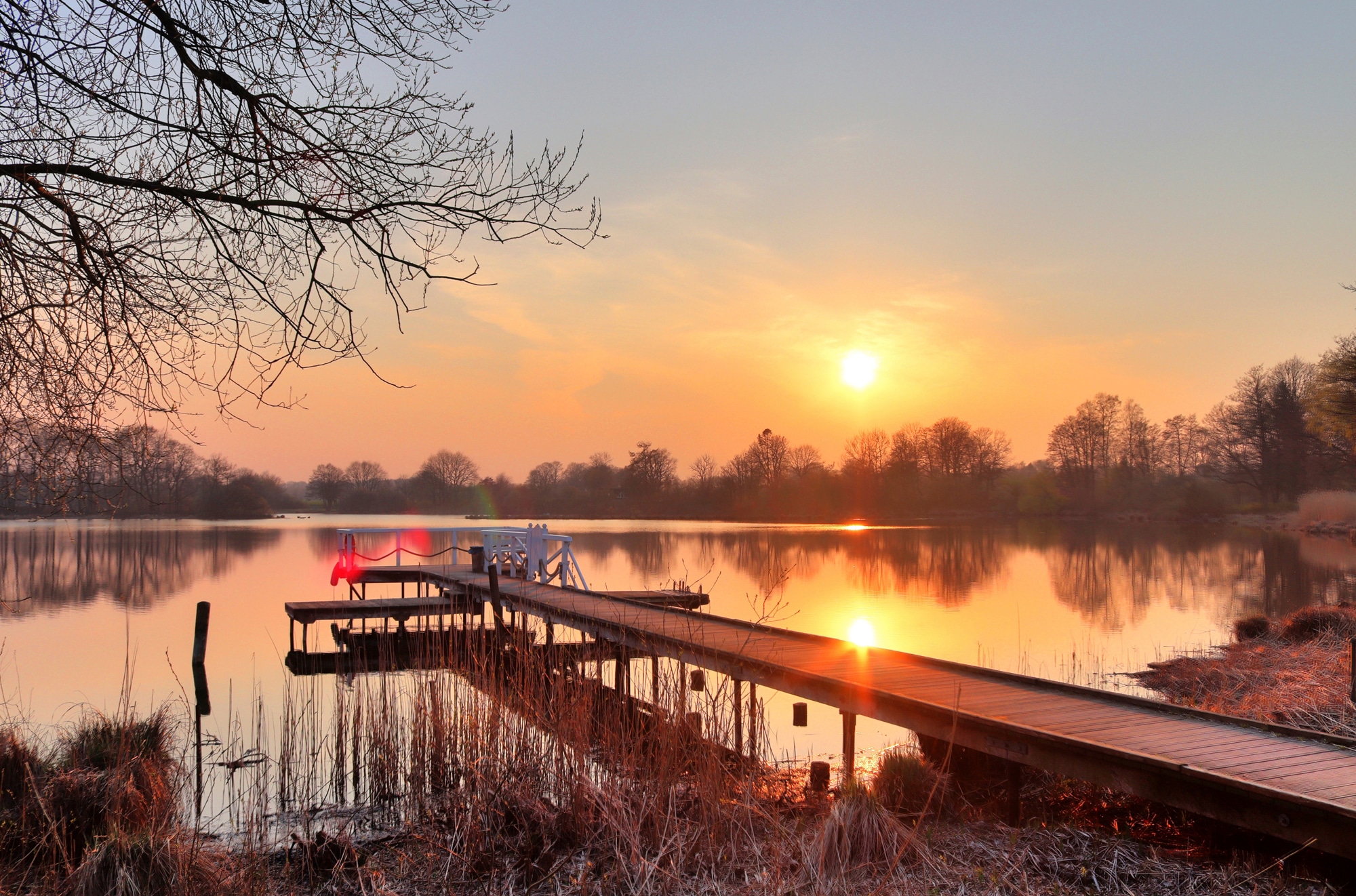 Papermoon Fototapete »HOLZ-BRÜCKE-PIER STEG SEE STRAND WALD SONNENUNTERGANG«