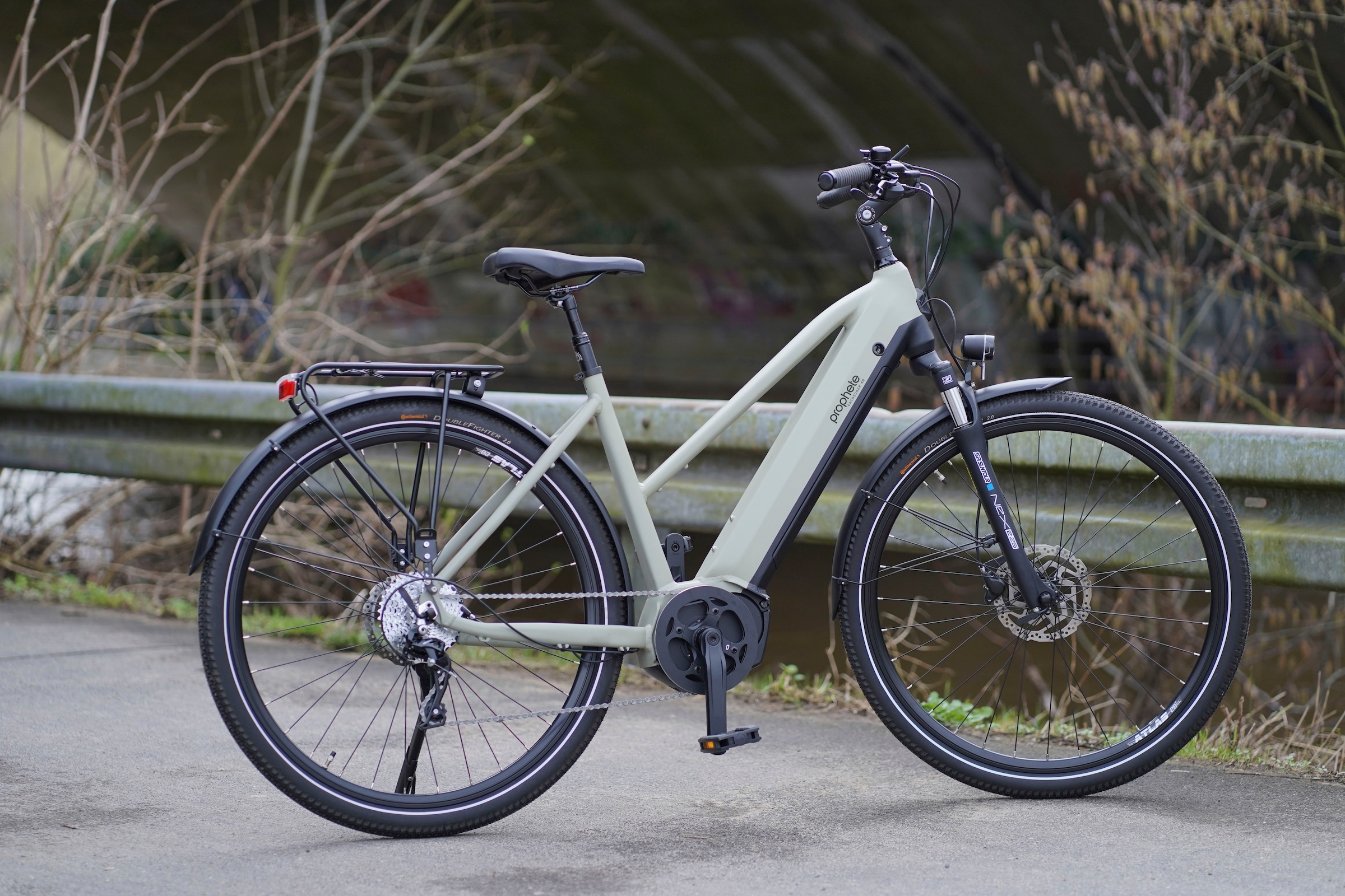 Prophete E-Bike »Entdecker 4.0«, 10 Gang, microSHIFT, RD-M61S, Mittelmotor 250 W, Pedelec, Elektrofahrrad für Damen, Trekkingrad