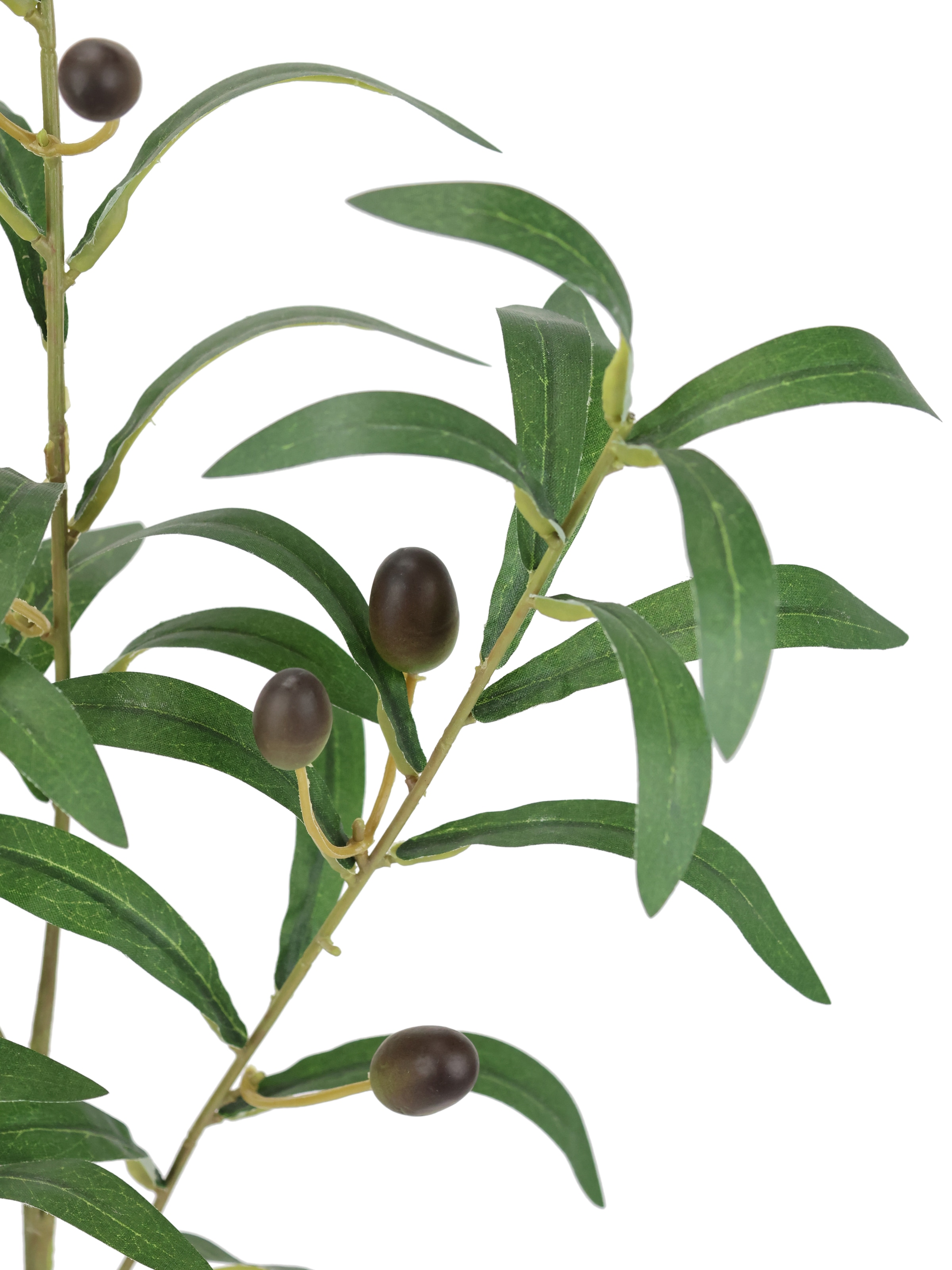 I.GE.A. Kunstpflanze »Olivenzweig 2er Set« Mit schwarzen Oliven 77cm mediterrane Zweige Dekozweig Olivenblätter