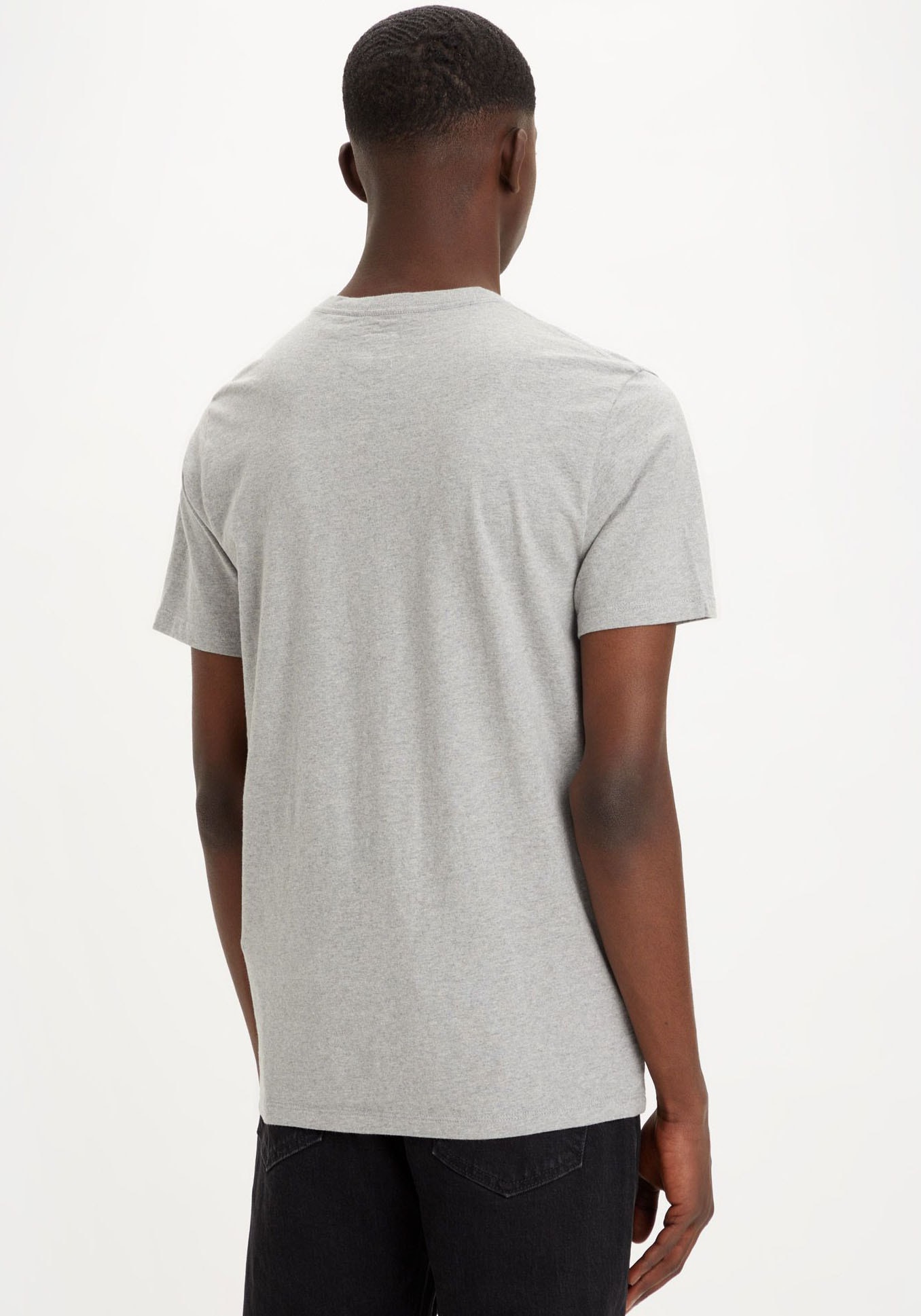 Levi's® V-Shirt »LE ORIGINAL HM VNECK«, mit Logostickerei