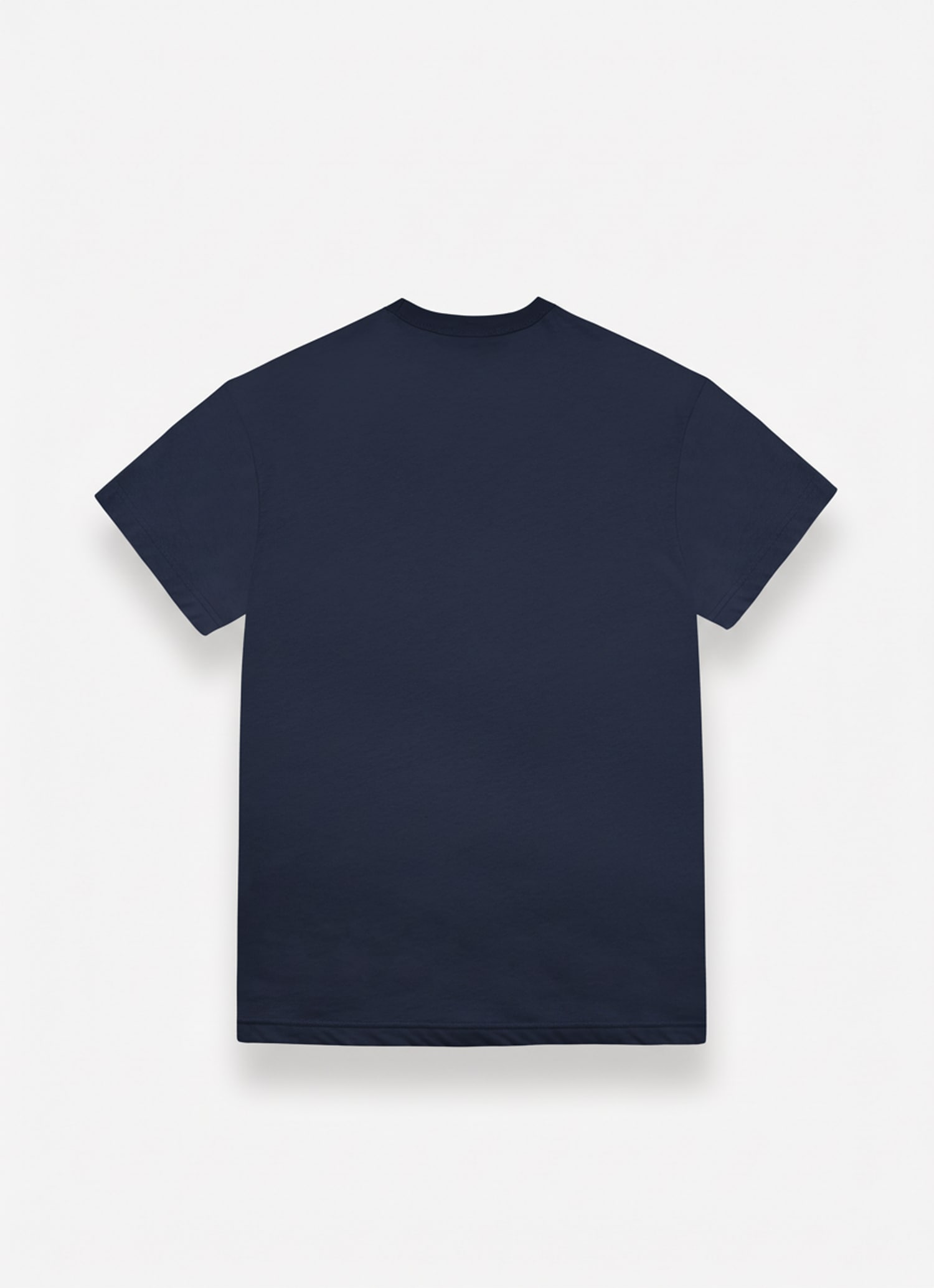 Colmar T-Shirt »MENS T-SHIRT« mit Logo, Rundhals, regular fit