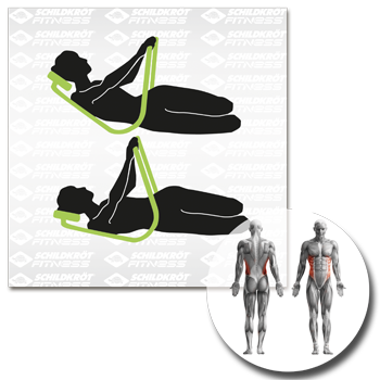 Schildkröt Bauchtrainer »AB Trainer Classic«