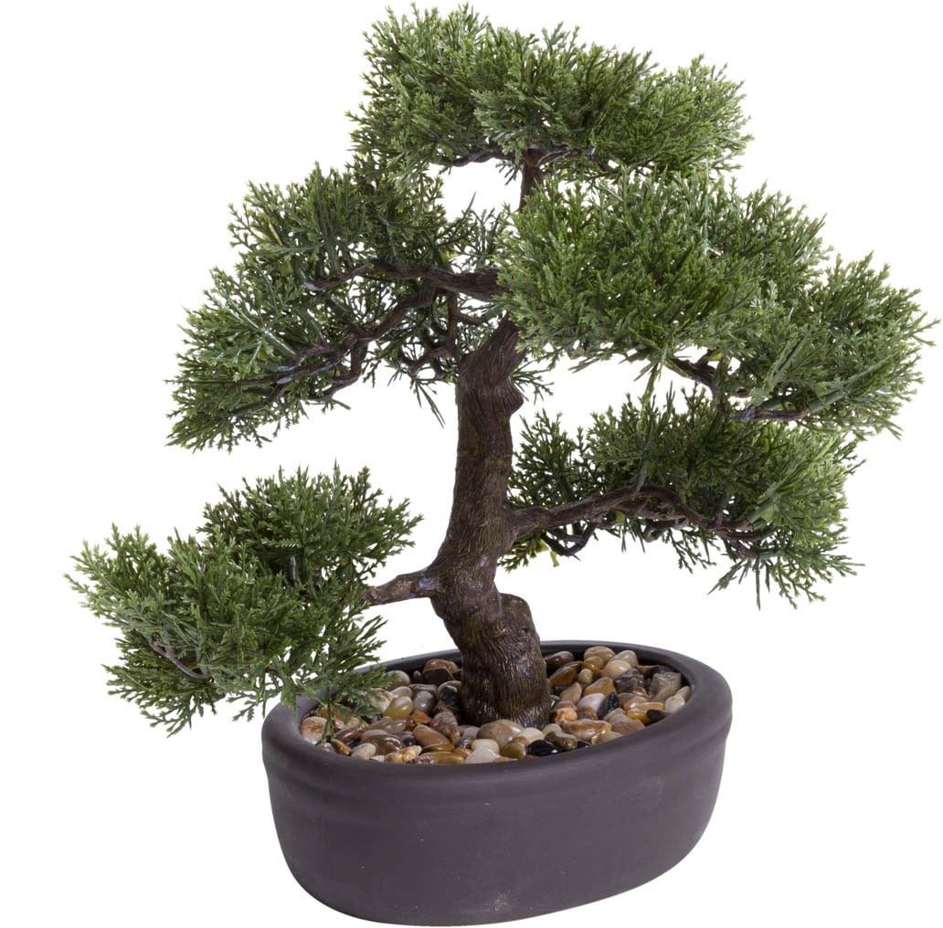 Kunstbonsai »Ceder Bonsai«