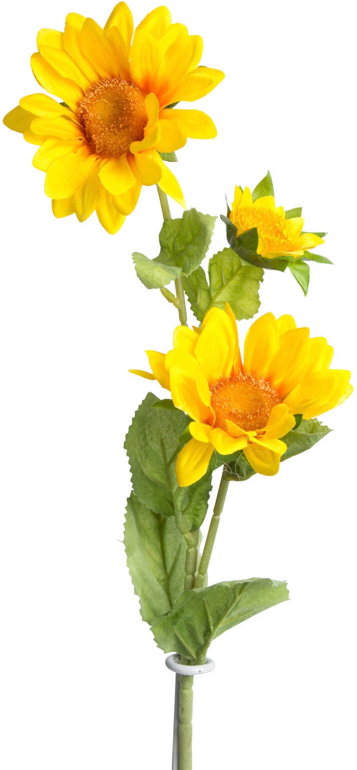 Kunstblume mit Raten kaufen Botanic-Haus auf 2 Stielen« »Sonnenblume