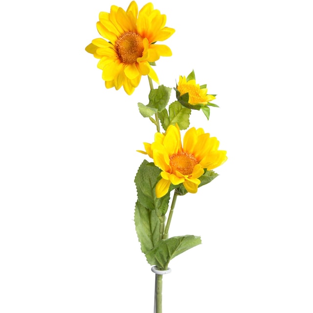 Botanic-Haus Kunstblume »Sonnenblume mit 2 Stielen« auf Raten kaufen