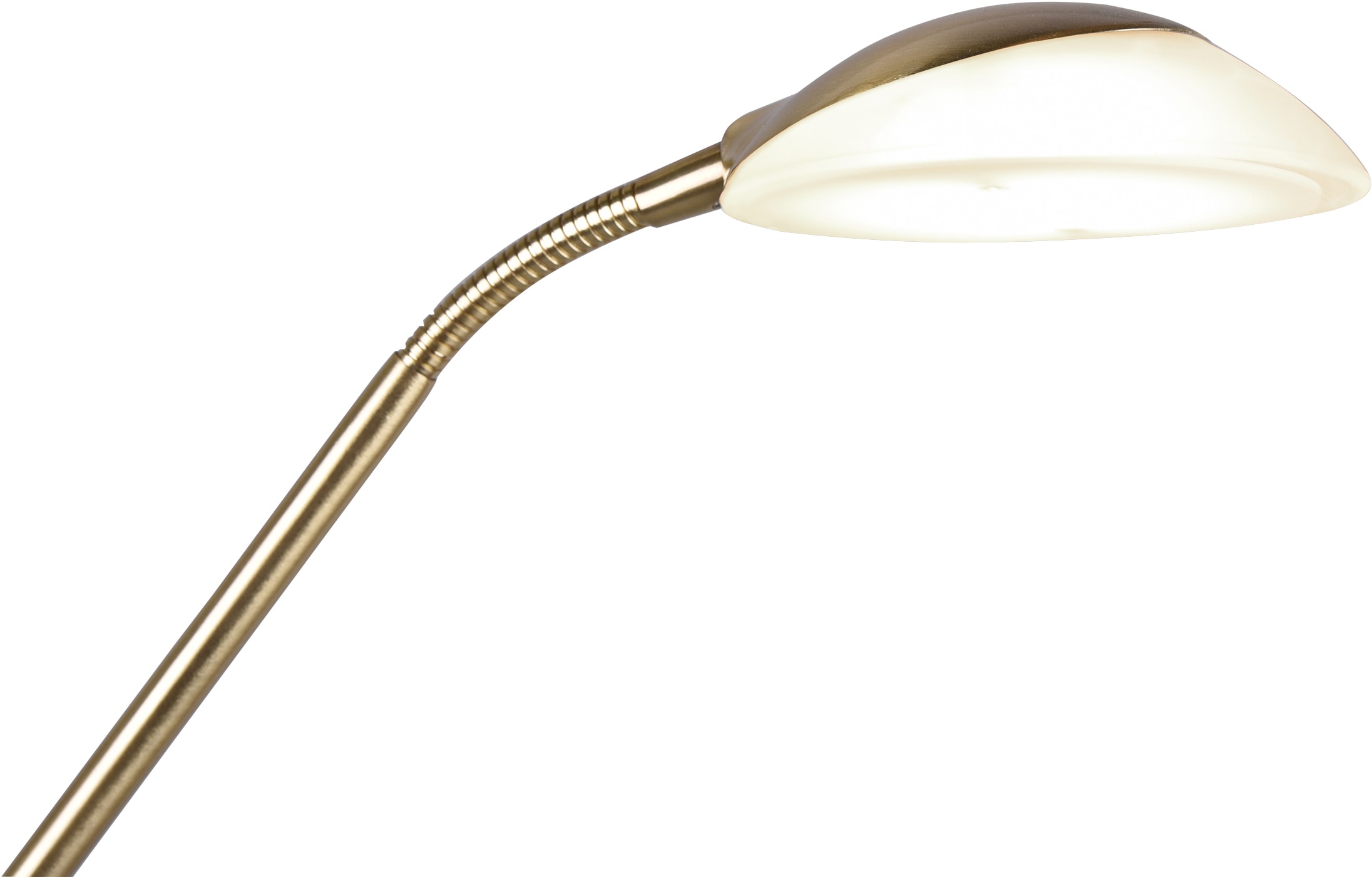 TRIO Leuchten LED Stehlampe »Orson«, mit | Garantie flammig-flammig, online Getrennt 1 3 schaltbar,integrierter Jahren Funktion kaufen Dimmer,Memory XXL