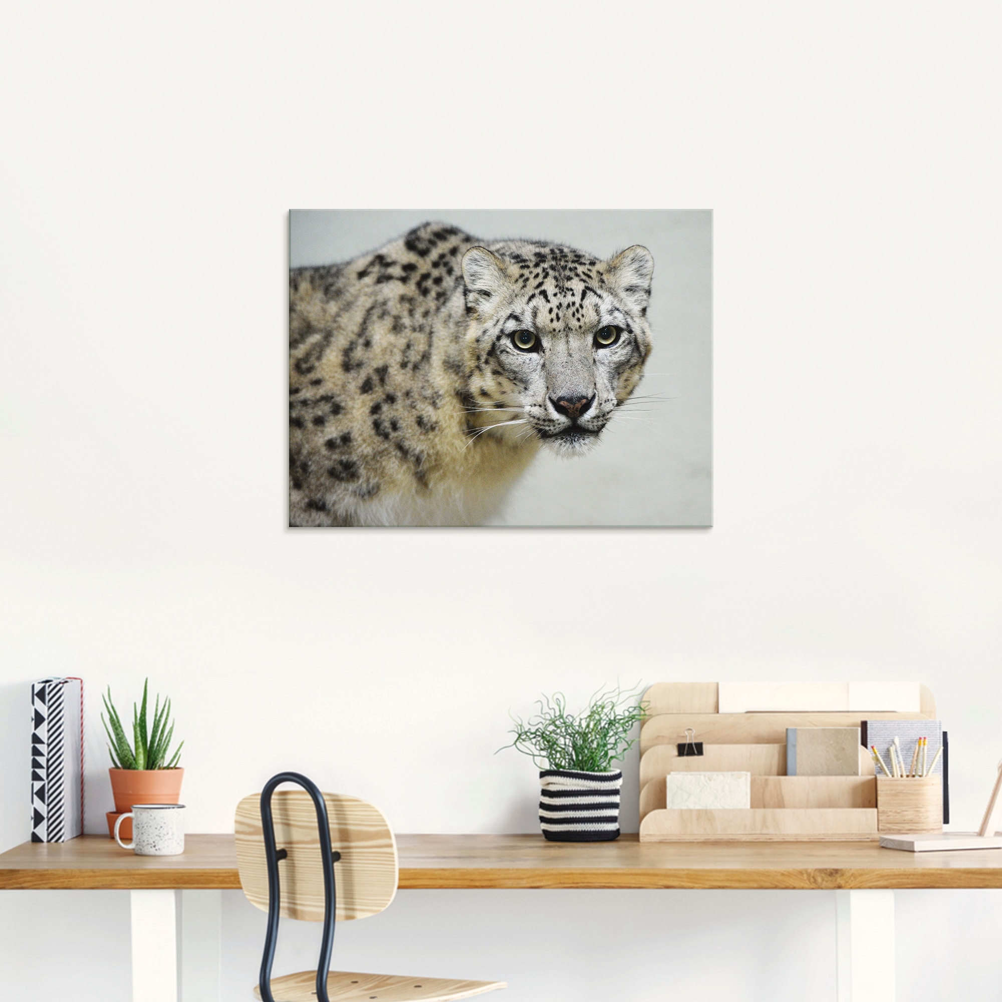 Artland Glasbild »Schneeleopard«, Wildtiere, (1 St.), in verschiedenen  Größen auf Raten bestellen | Poster
