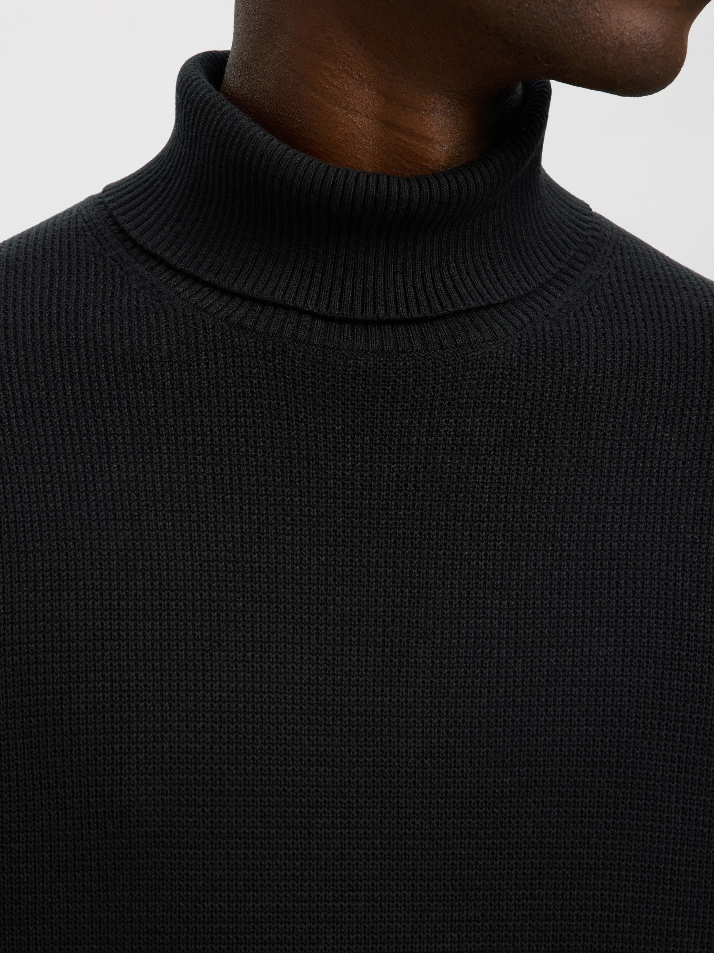 SELECTED Rollkragenpullover »SLHDANE LS KNIT STRUCTURE ROLL NECK NOOS«