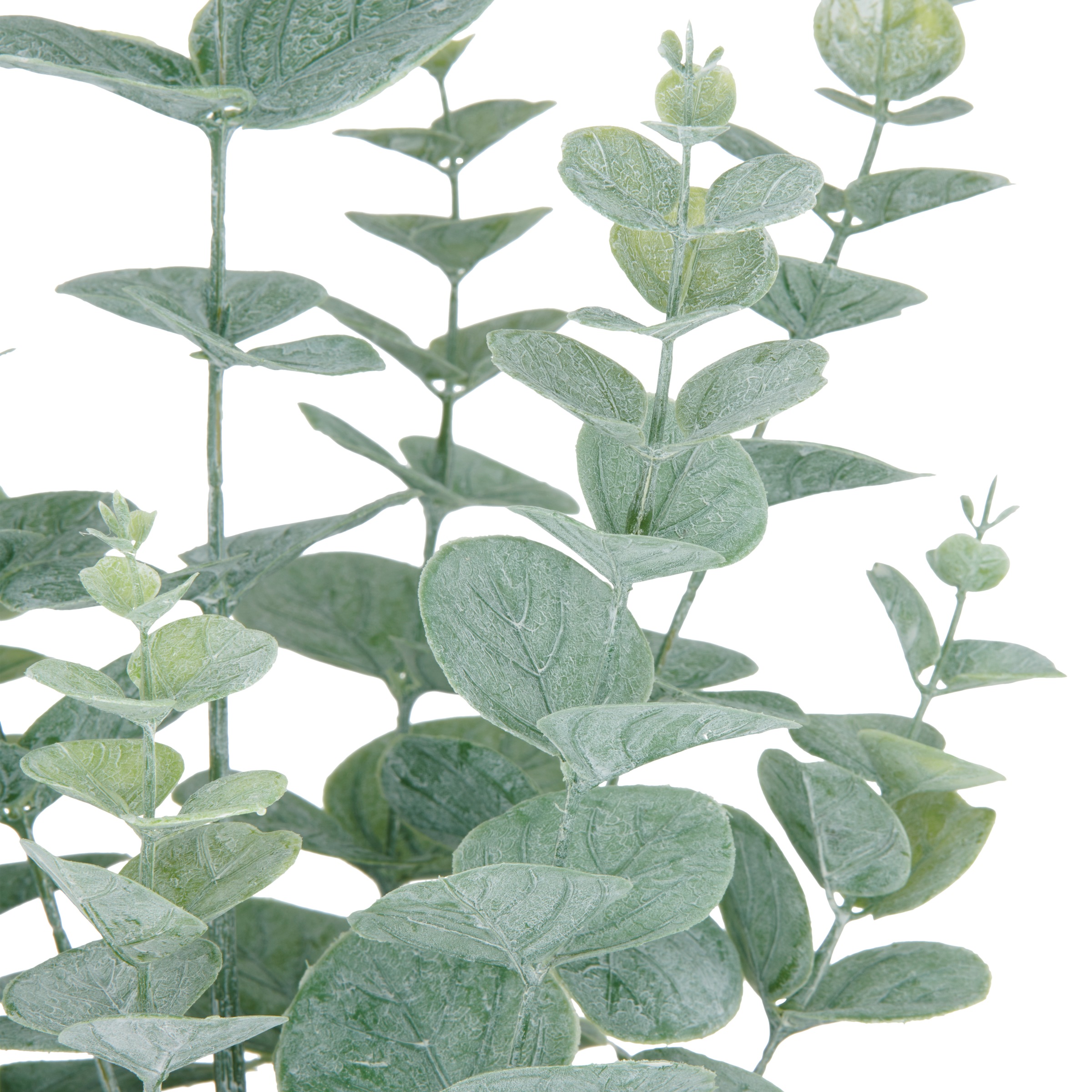 Creativ green Kunstpflanze »Eukalyptus«, mit üppigem Blattwerk