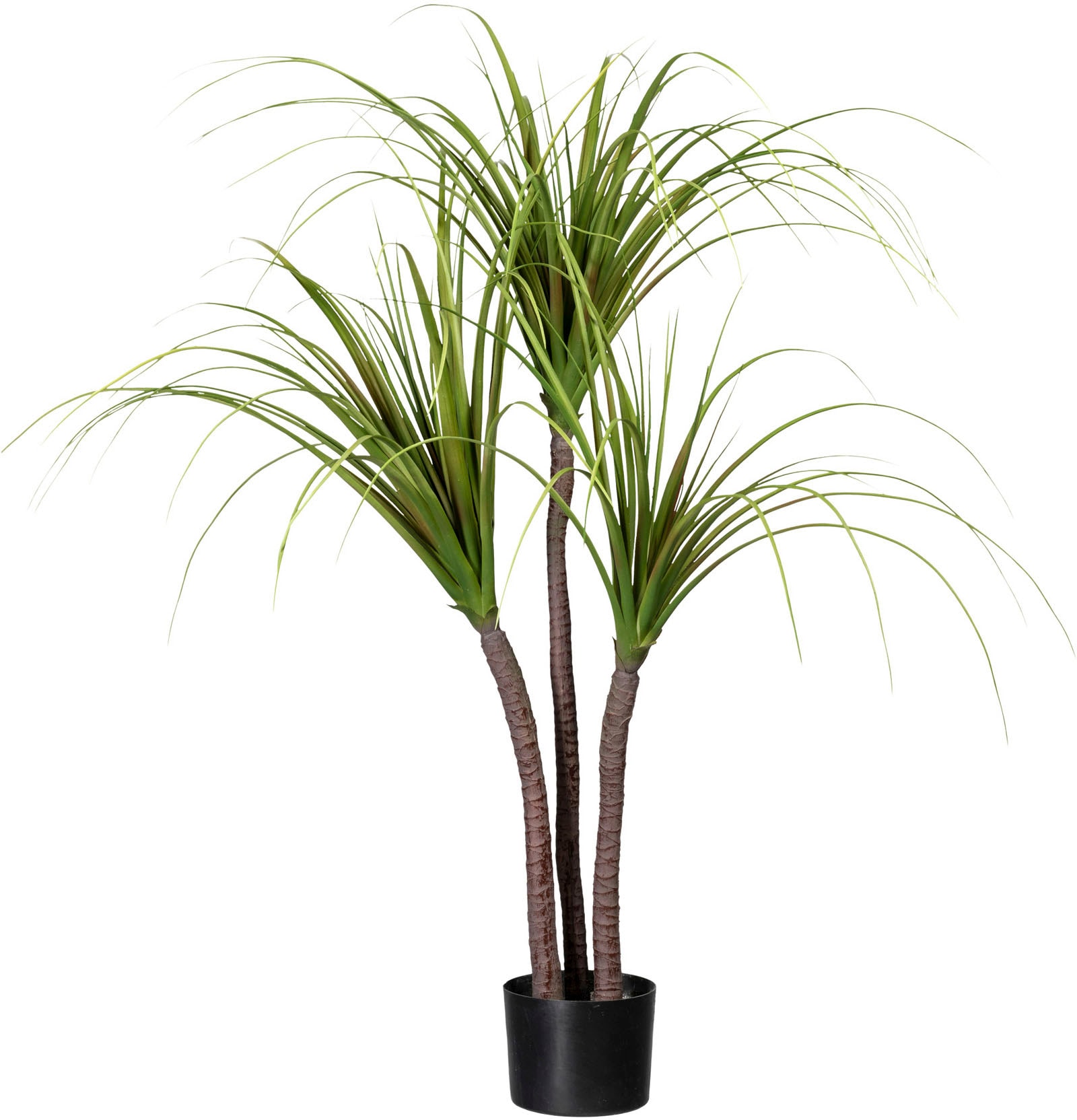 Creativ green Künstliche Zimmerpflanze »Drachenbaum«